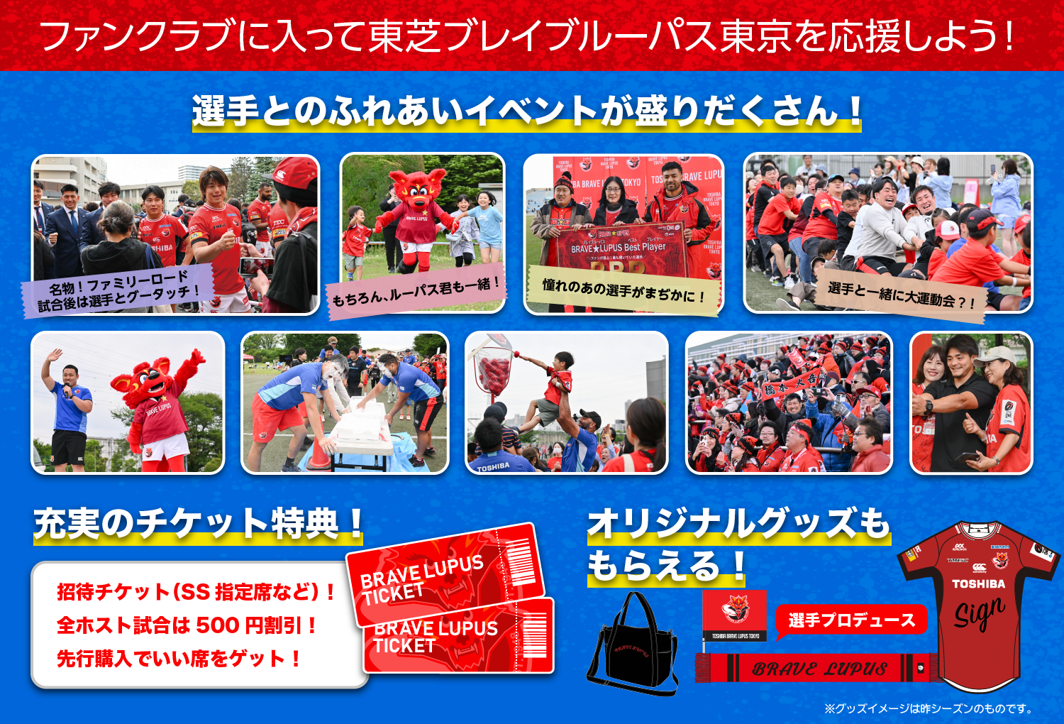 ファンクラブに入って東芝ブレイブルーパス東京を応援しよう！