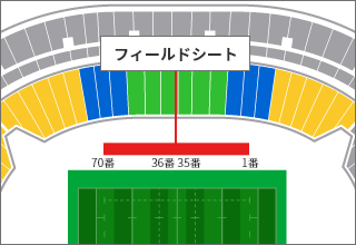 フィールドシート