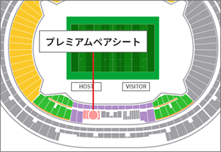 プレミアムペアシート