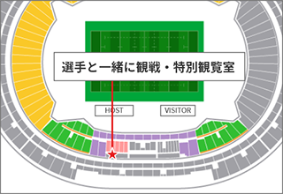 選手と一緒に観戦チケット