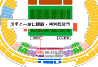 選手と一緒に観戦チケット