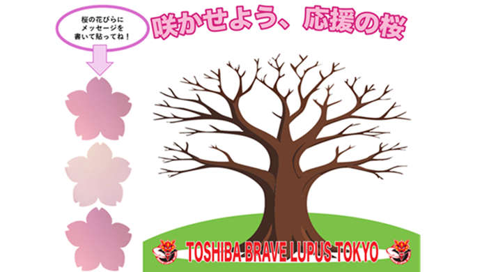 咲かせよう！応援の桜！！