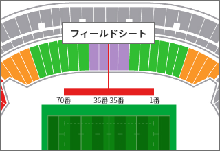 フィールドシート