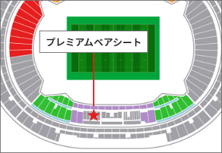 プレミアムペアシート