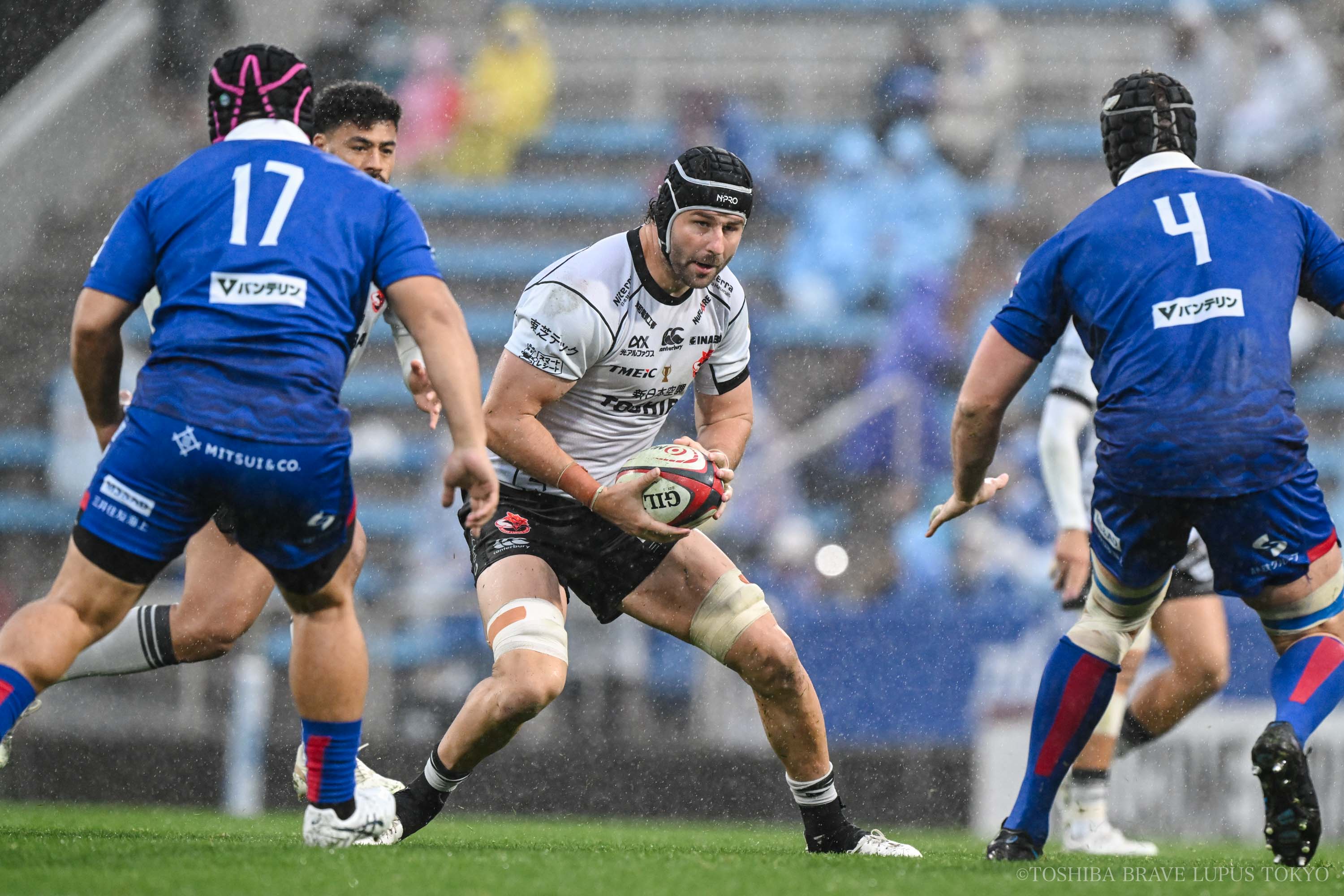 フォトギャラリー