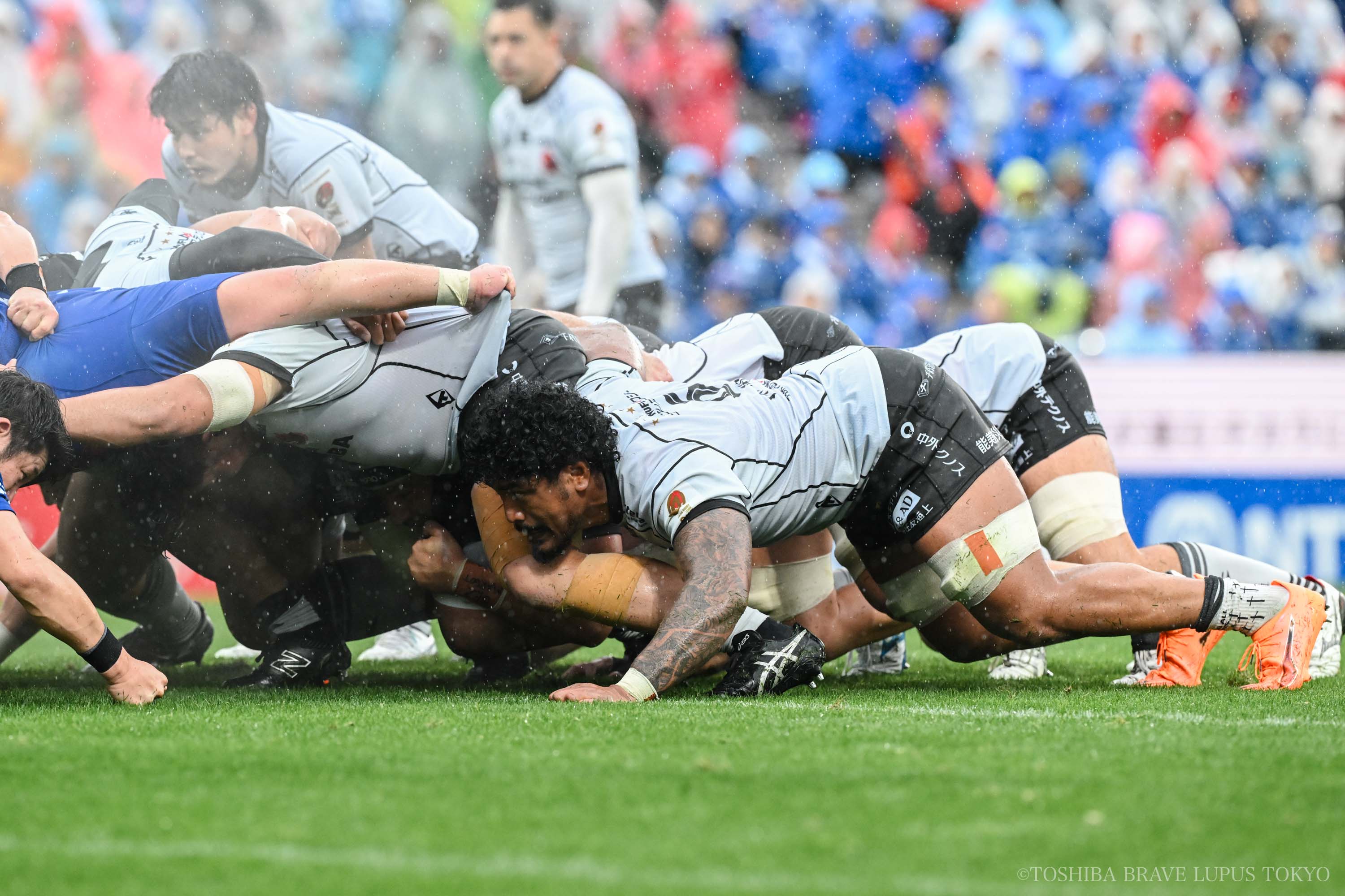 フォトギャラリー