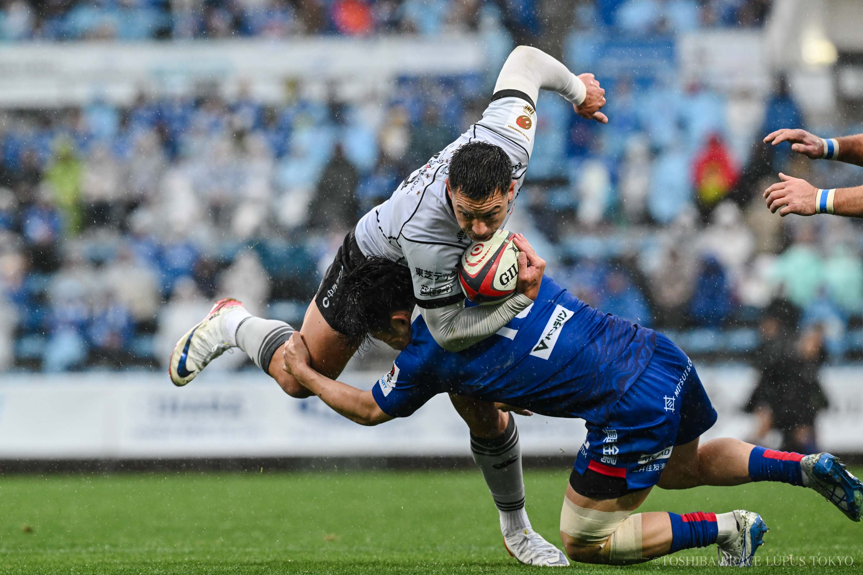 フォトギャラリー