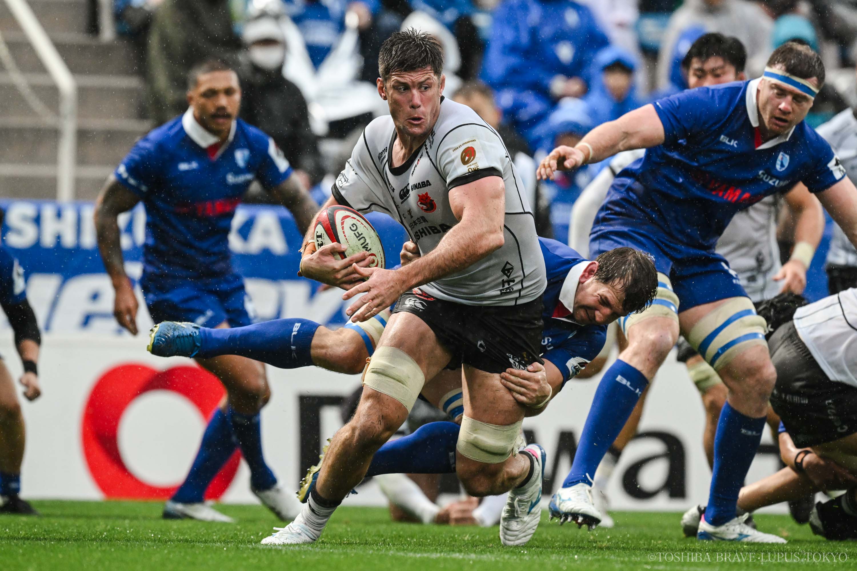 フォトギャラリー