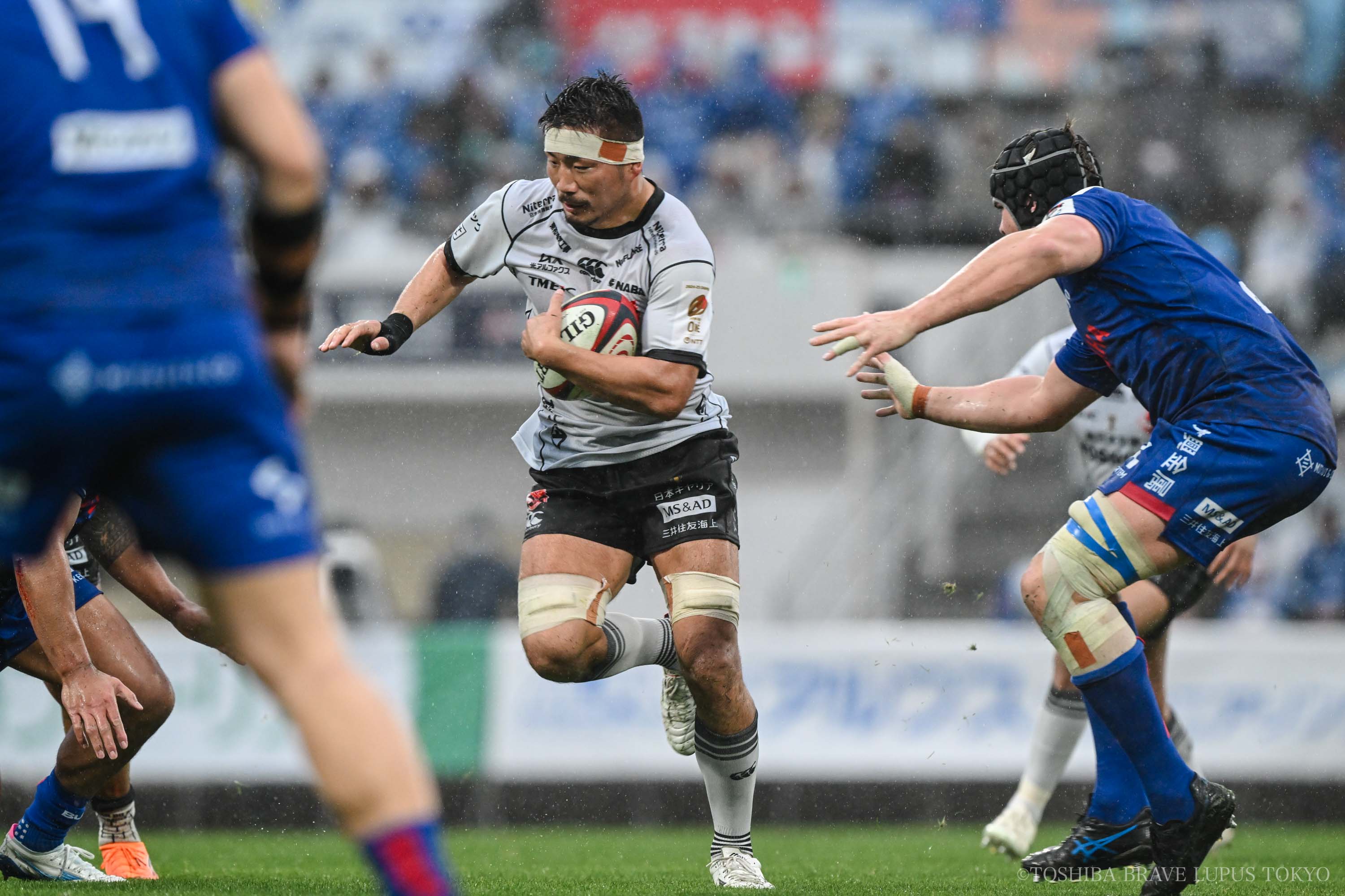 フォトギャラリー