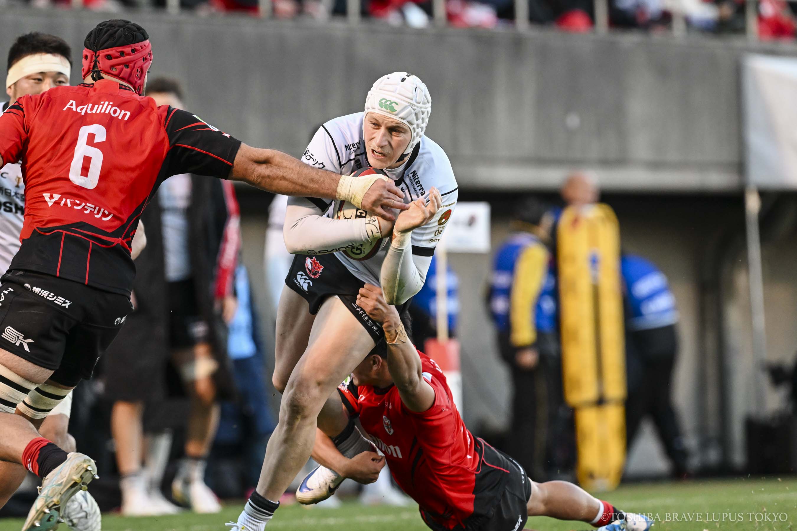 フォトギャラリー