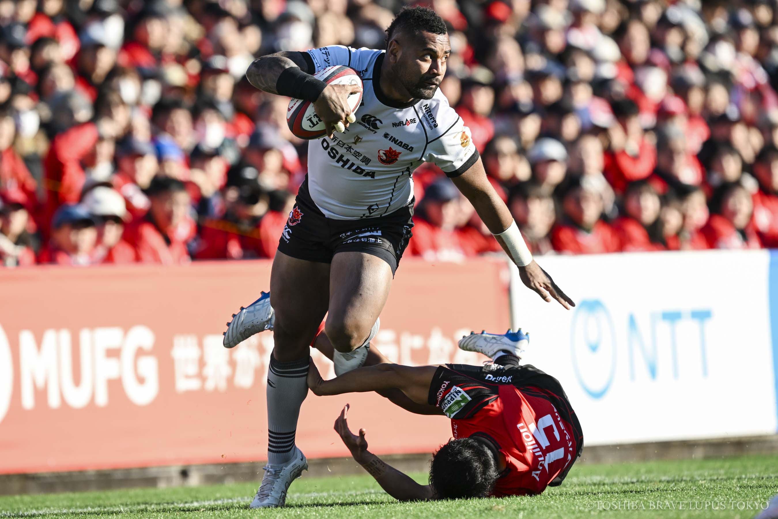 フォトギャラリー