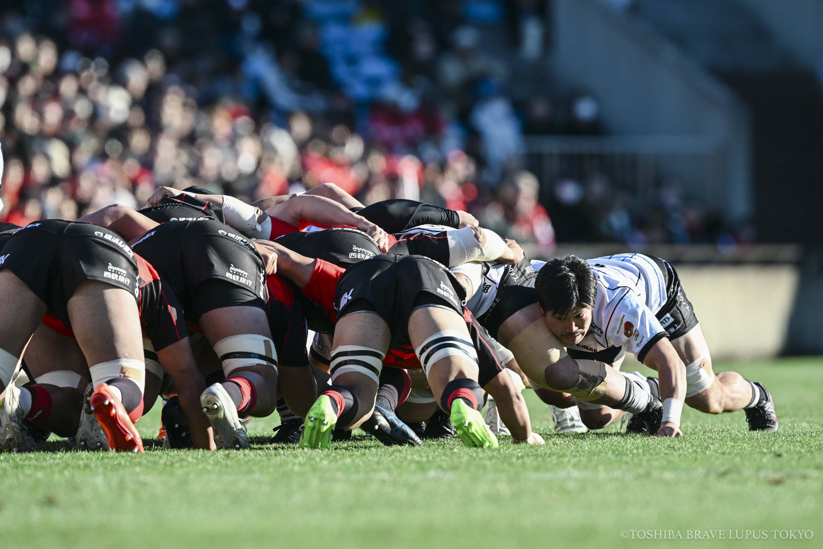 フォトギャラリー