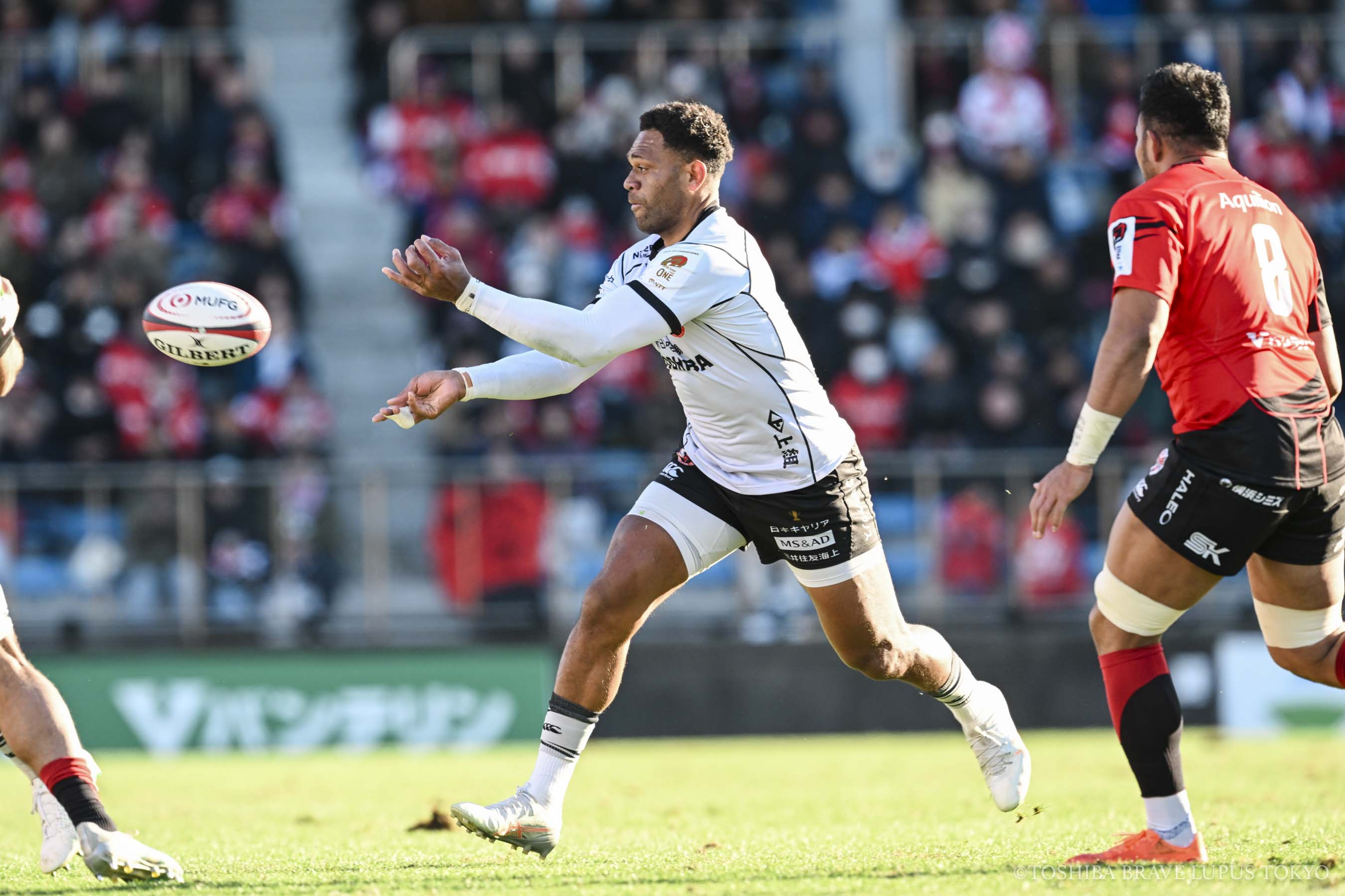 フォトギャラリー