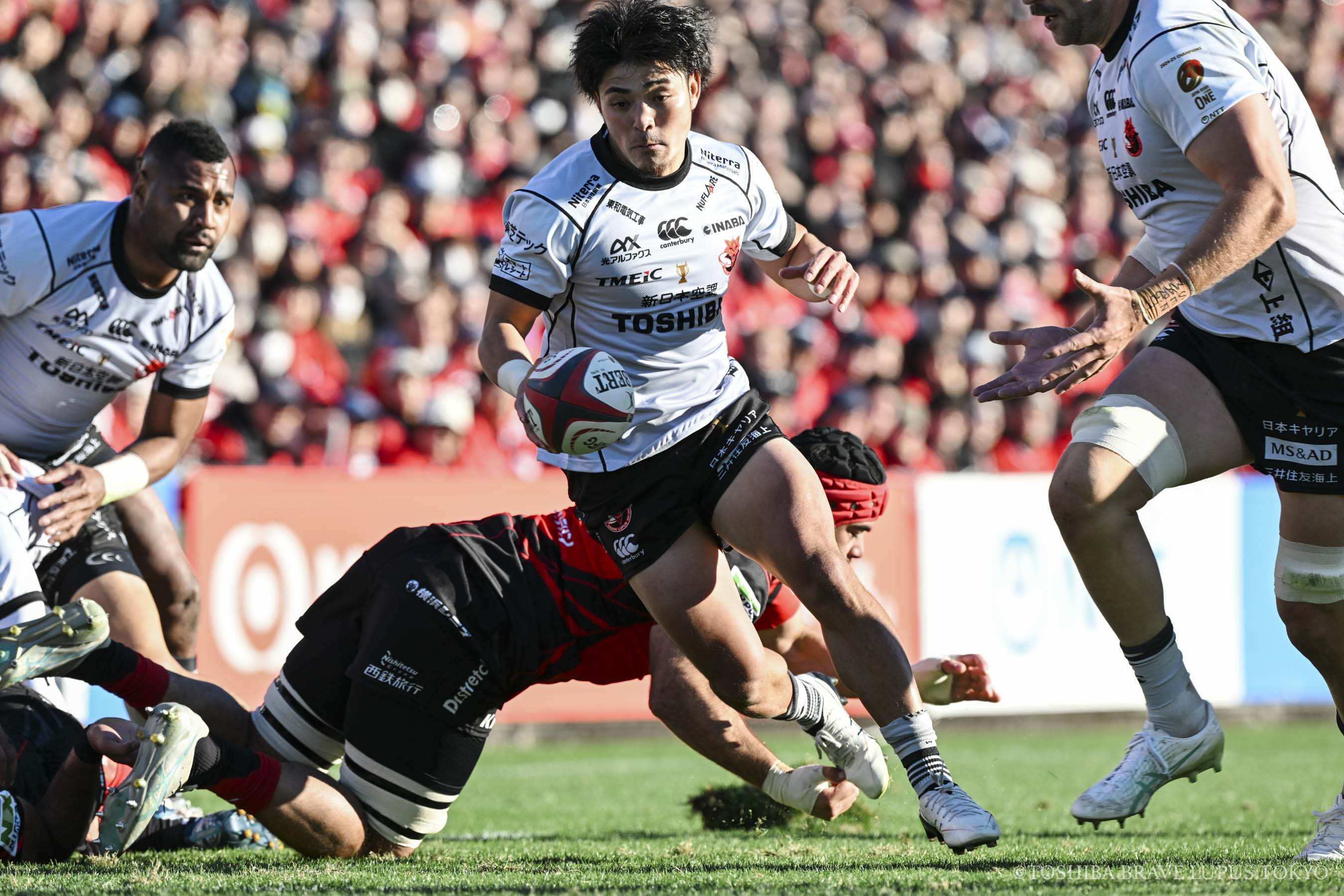 フォトギャラリー