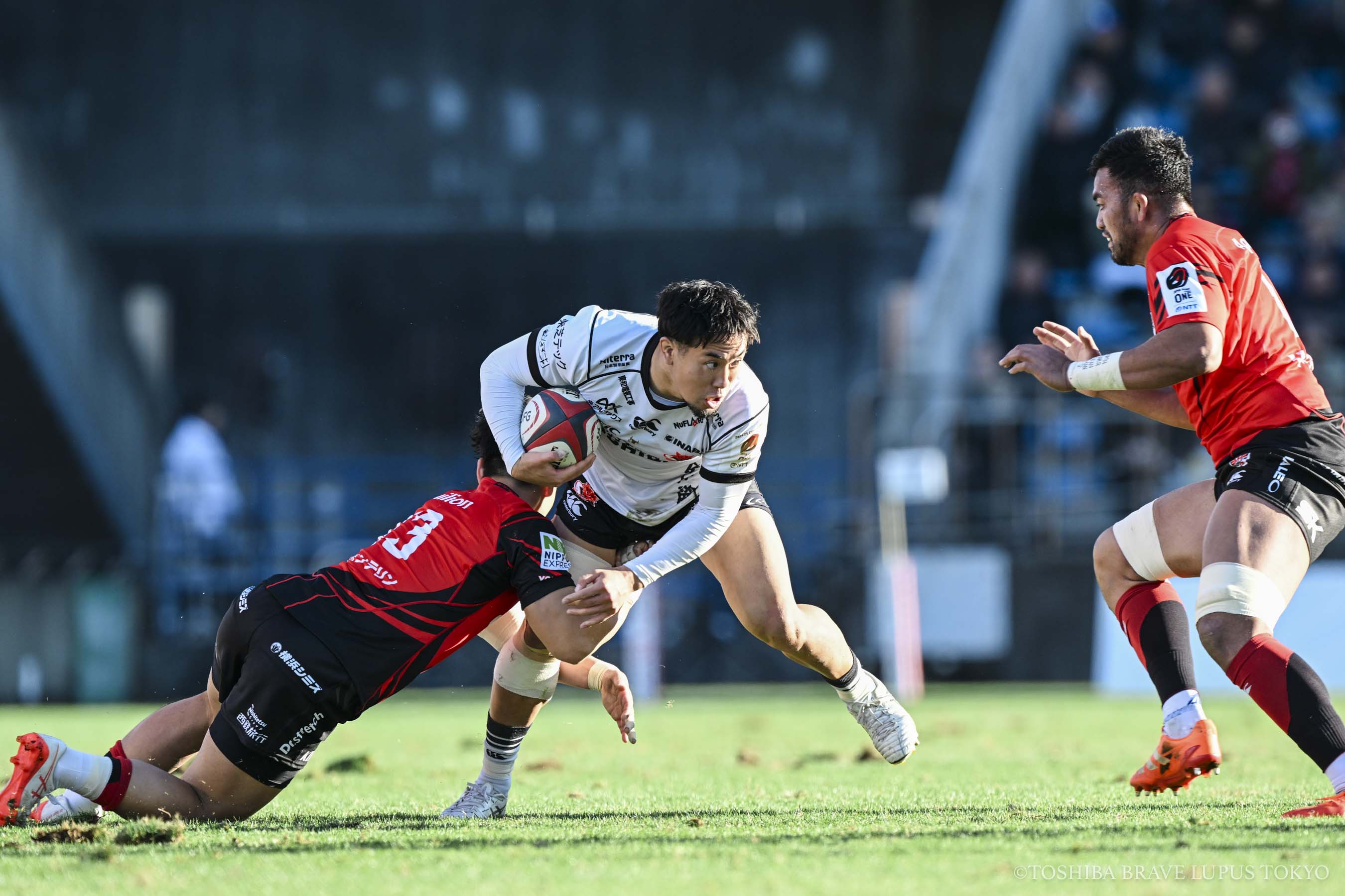 フォトギャラリー