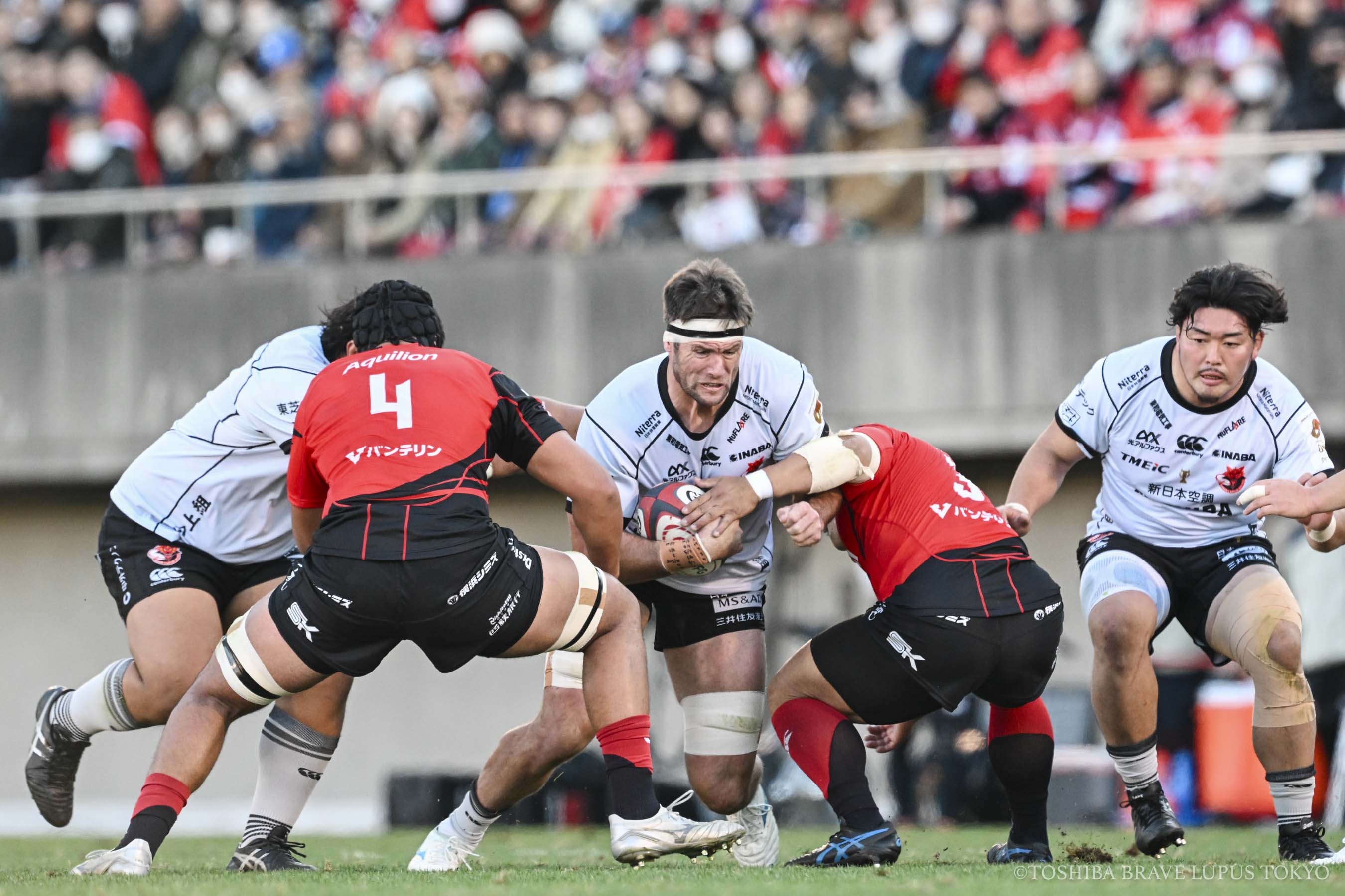 フォトギャラリー