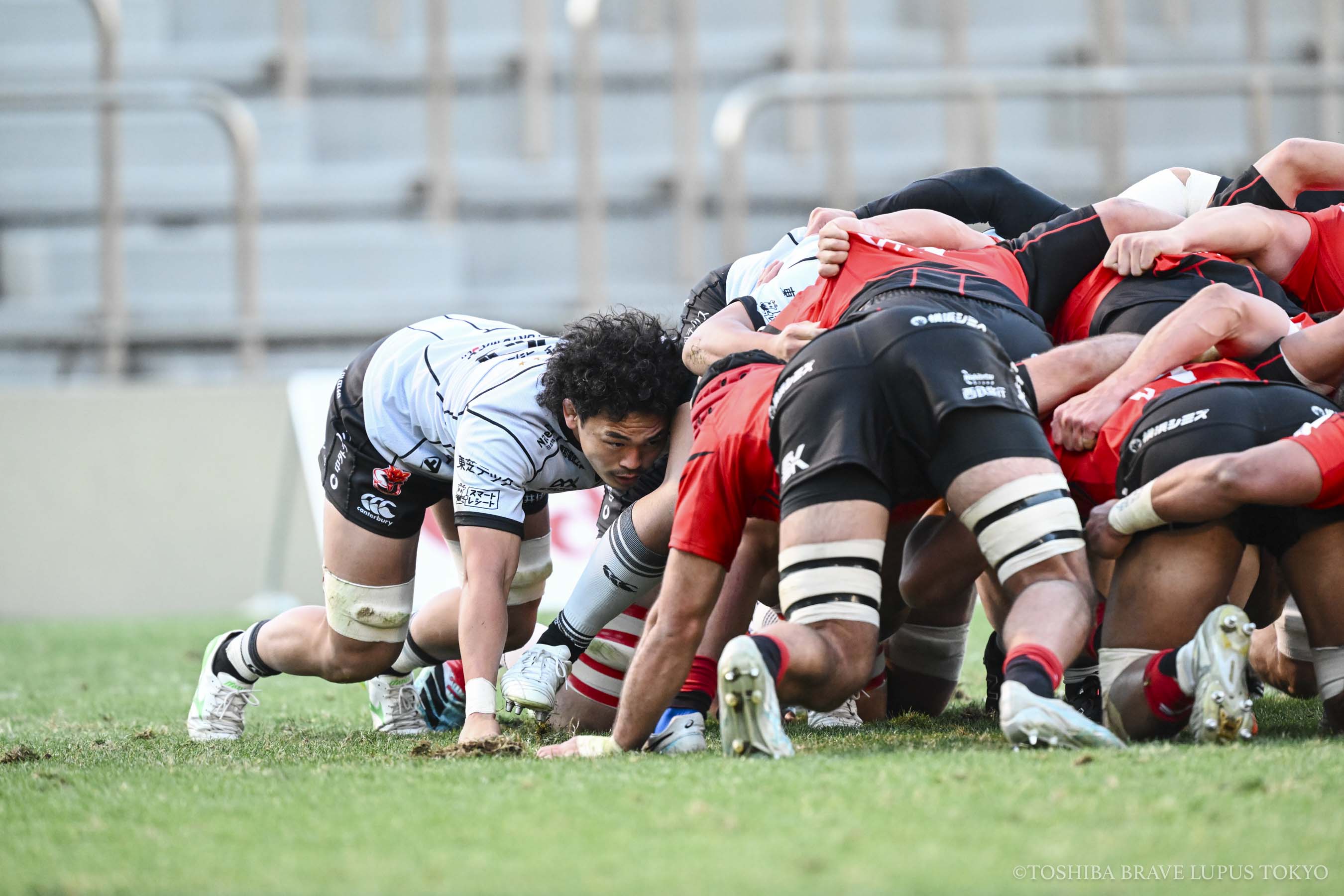 フォトギャラリー