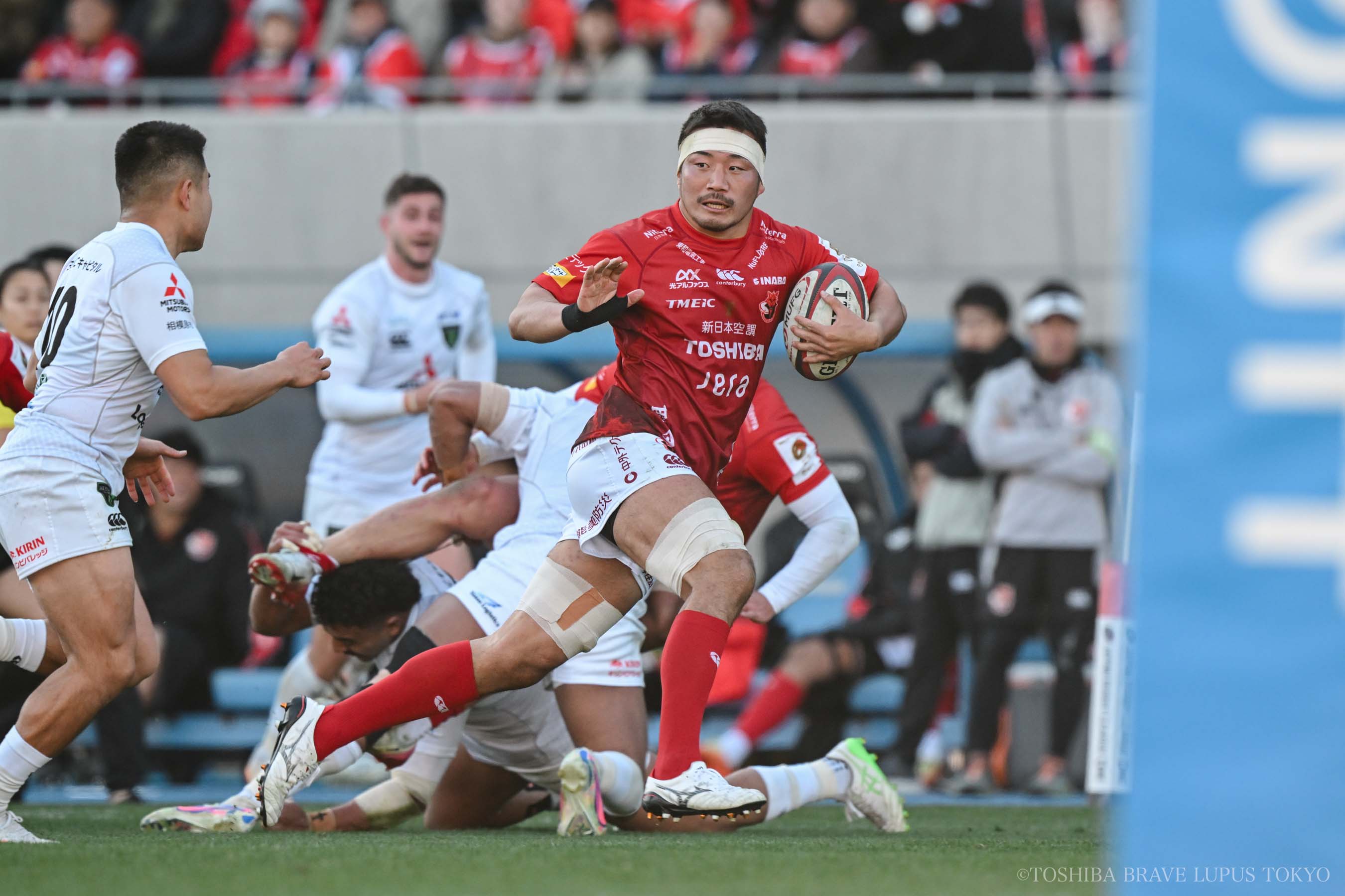 フォトギャラリー