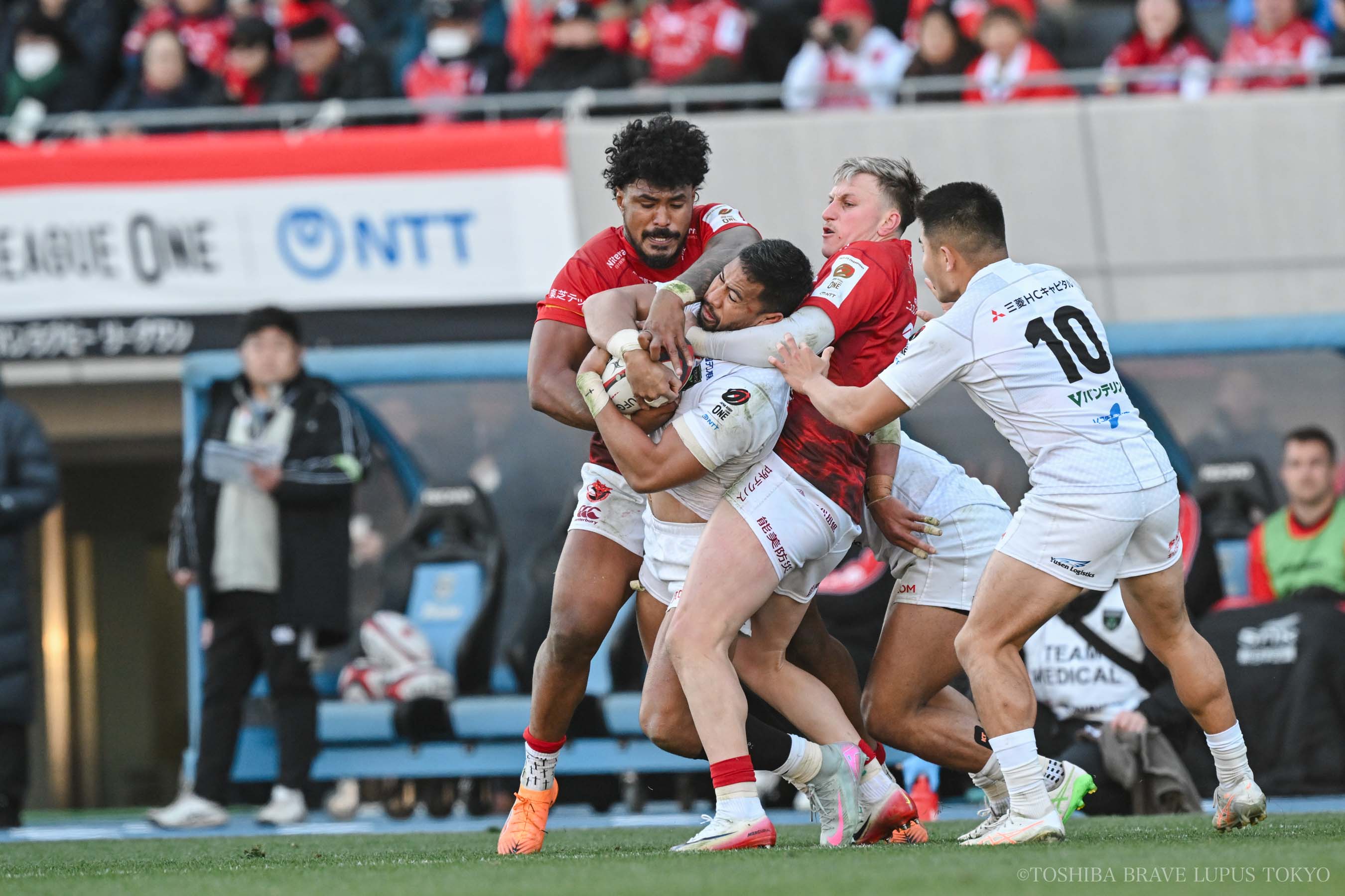 フォトギャラリー