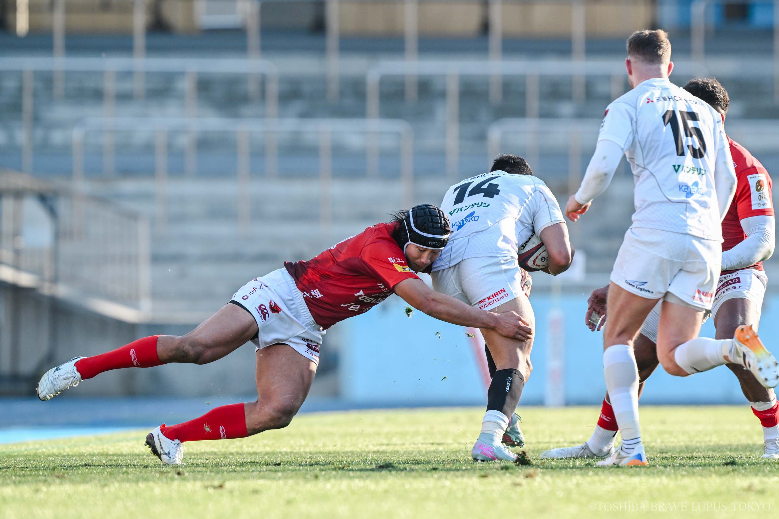 フォトギャラリー