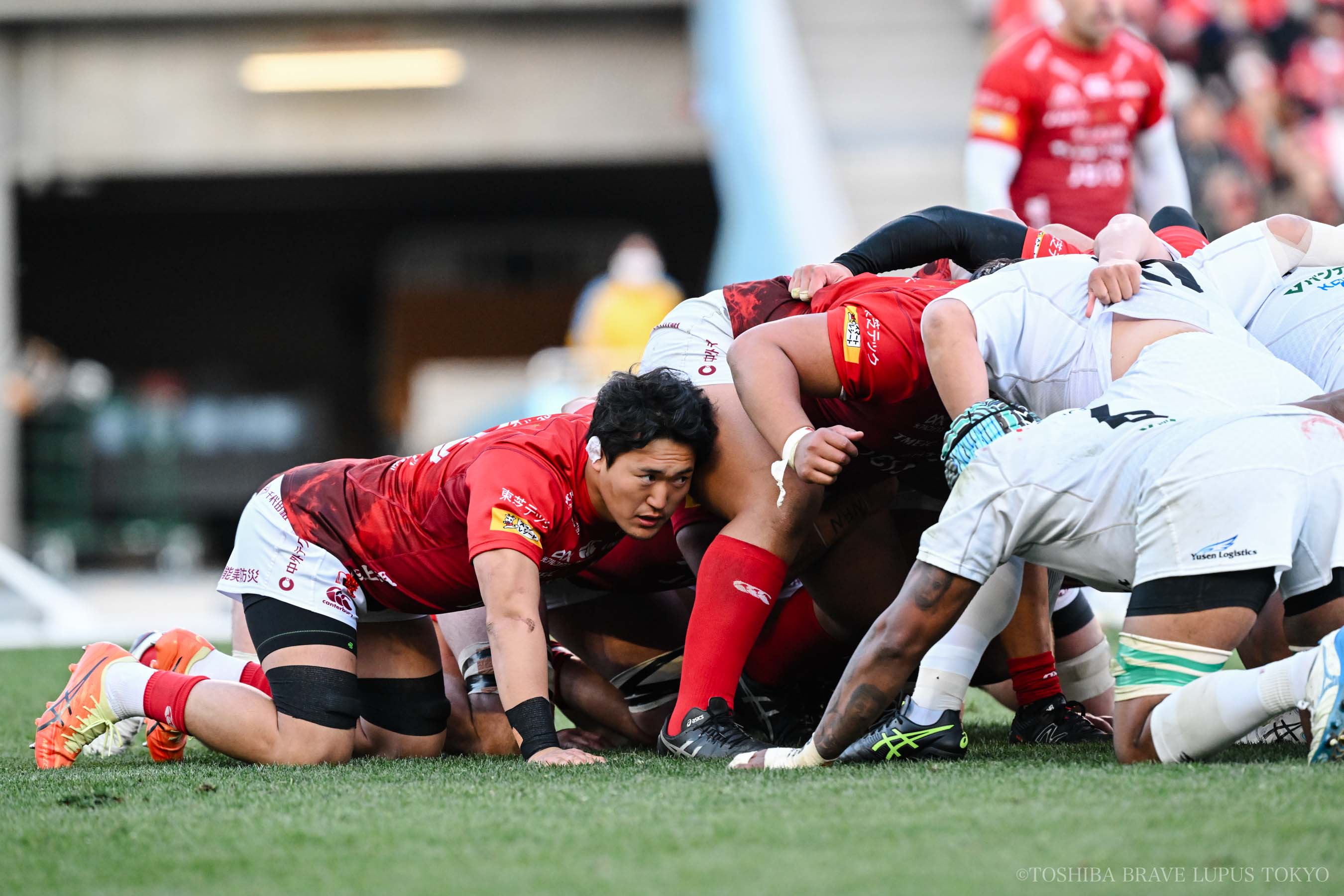 フォトギャラリー