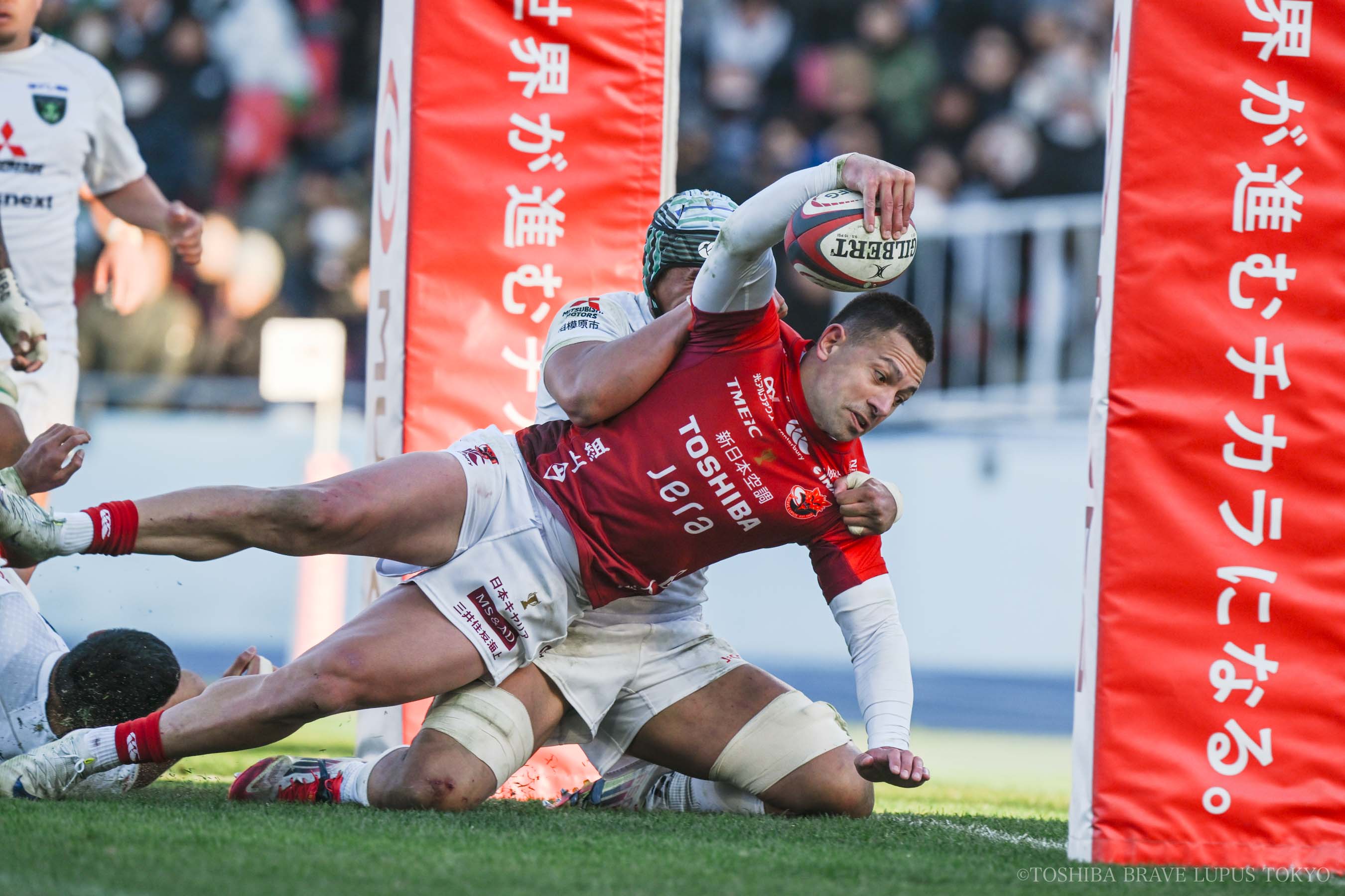 フォトギャラリー