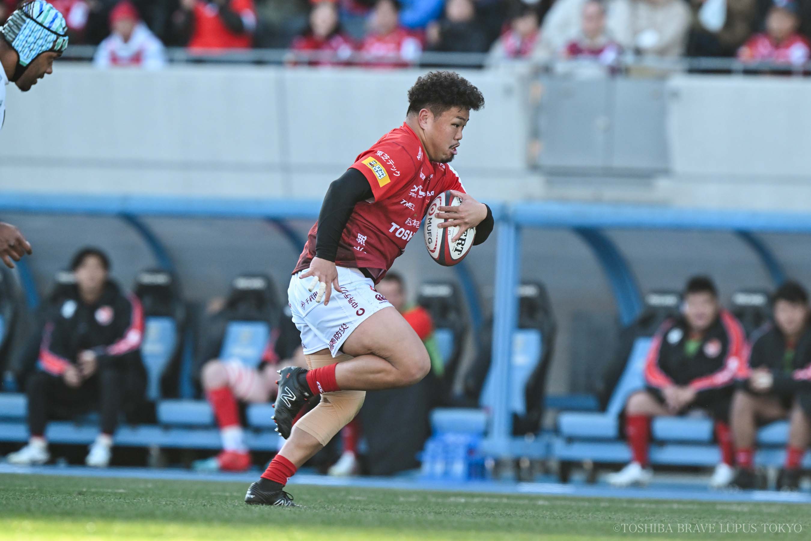 フォトギャラリー