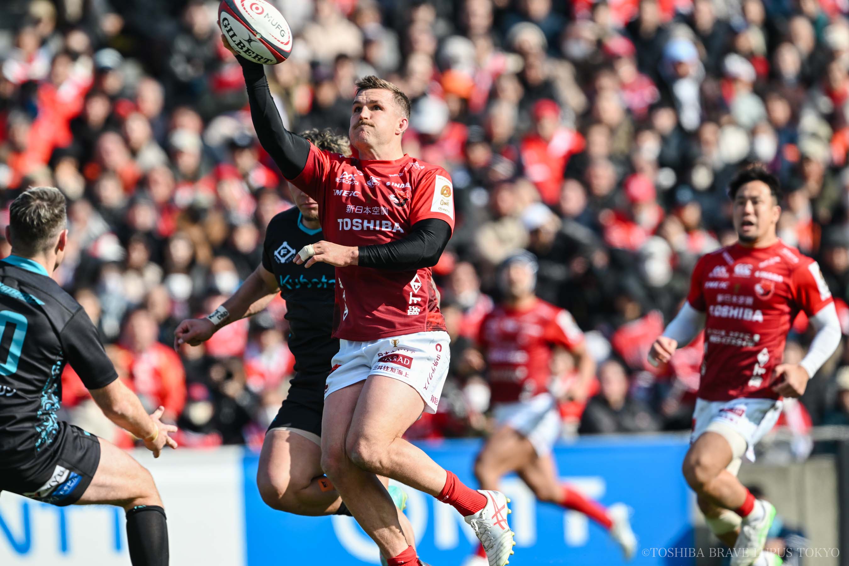 フォトギャラリー