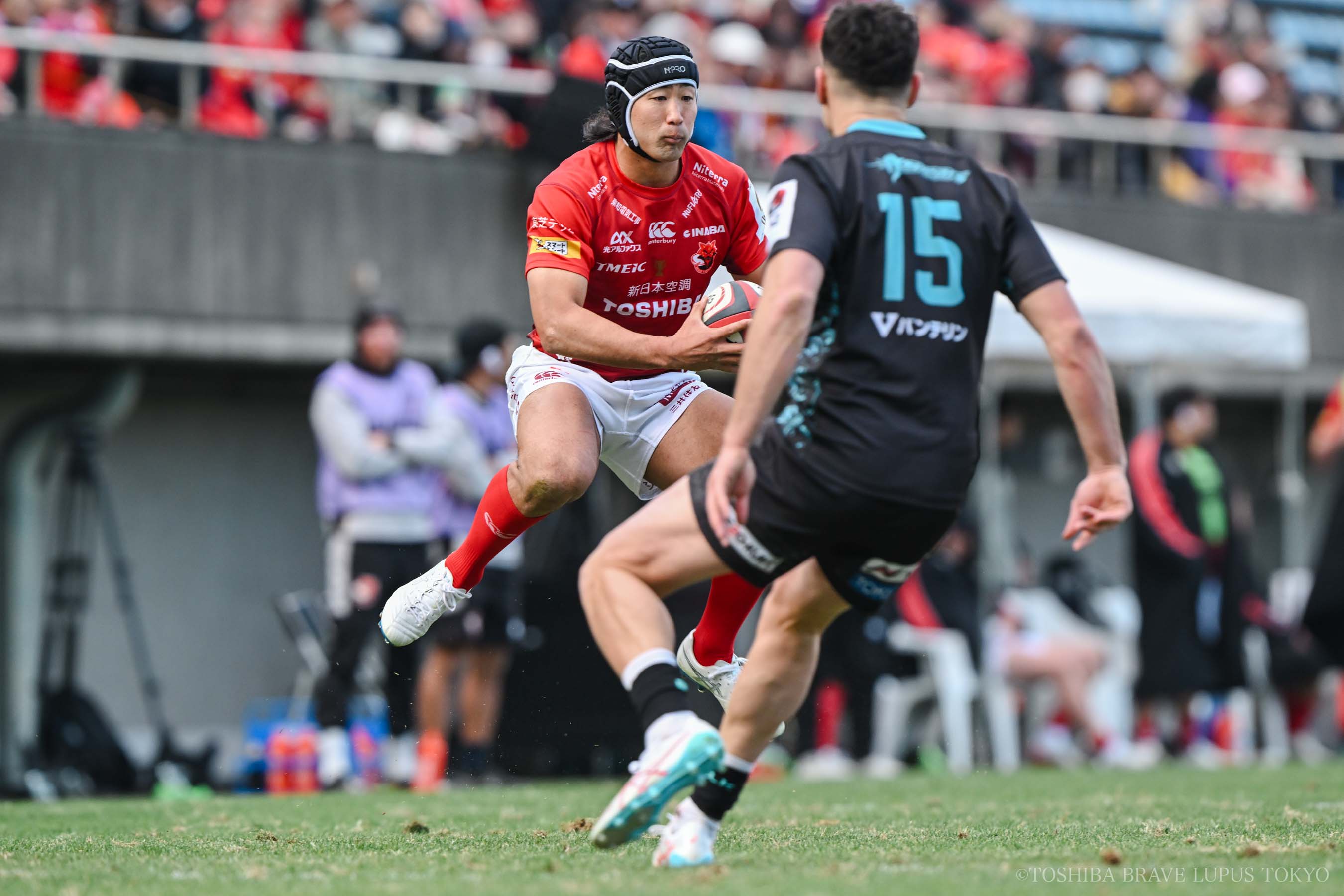 フォトギャラリー