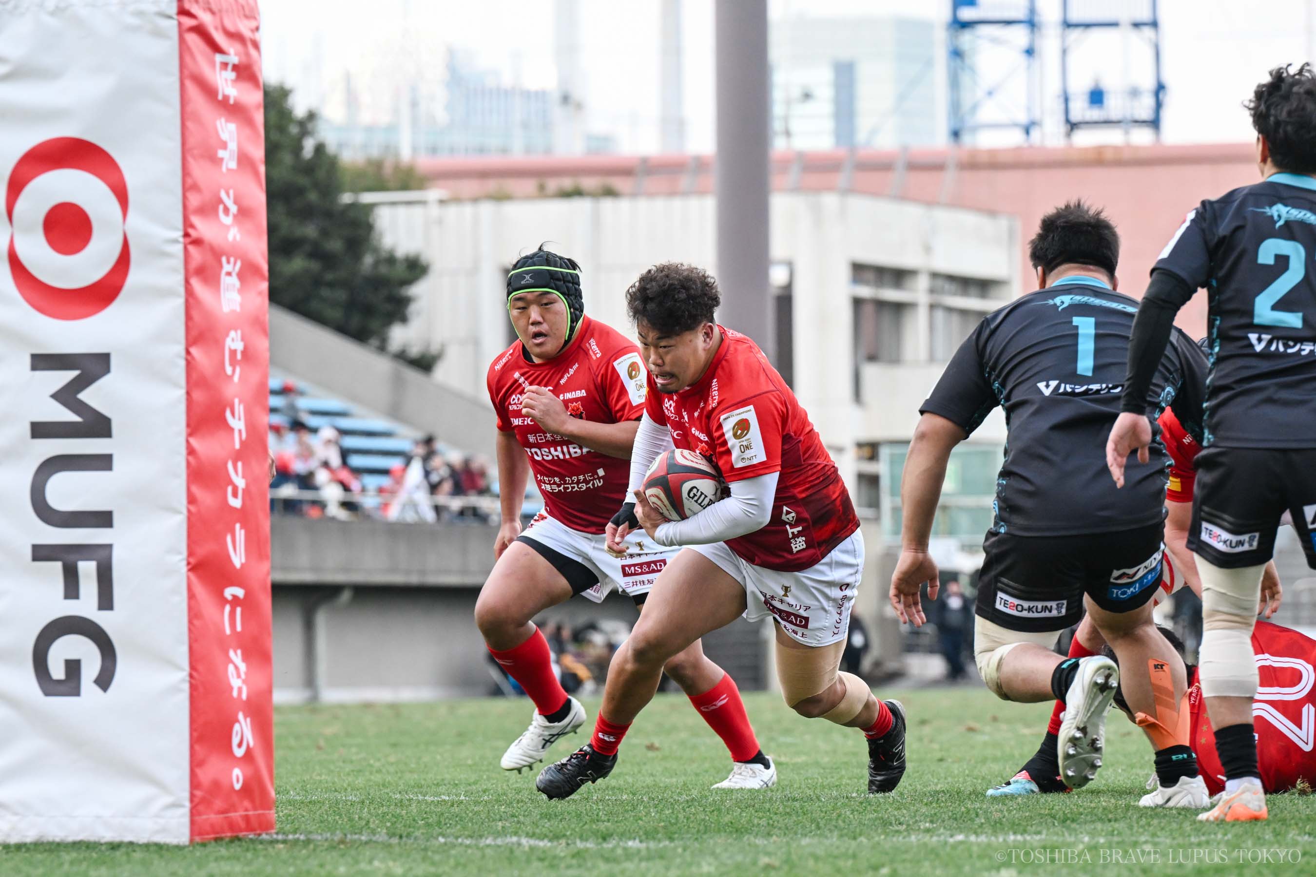 フォトギャラリー