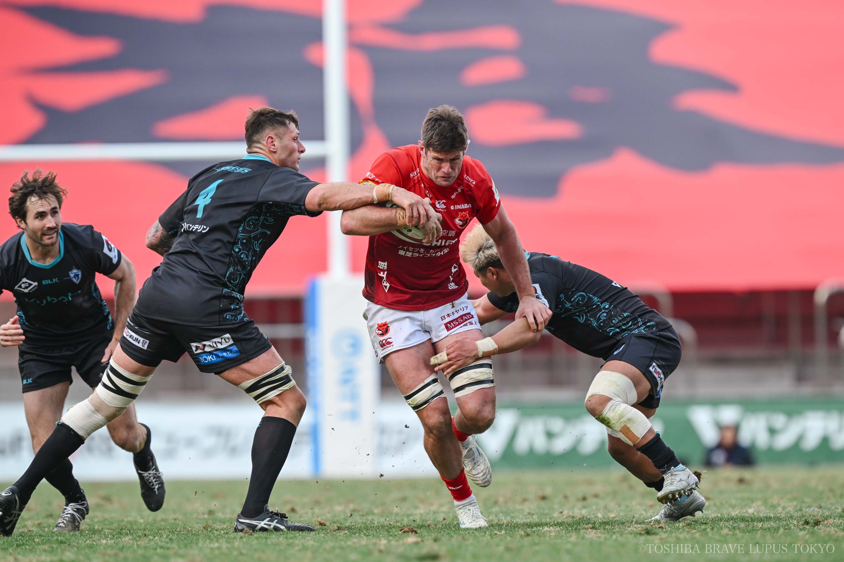 フォトギャラリー