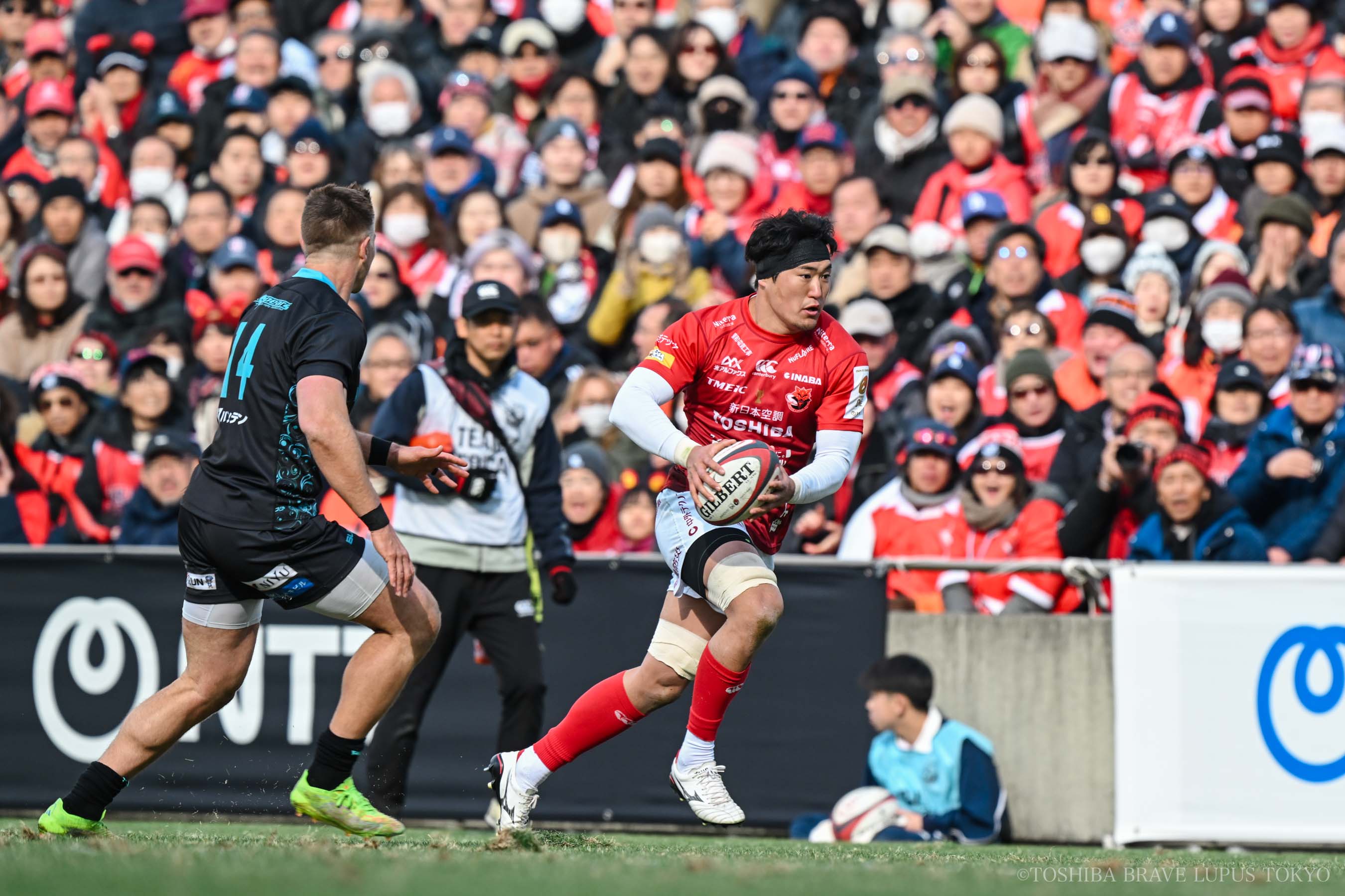 フォトギャラリー