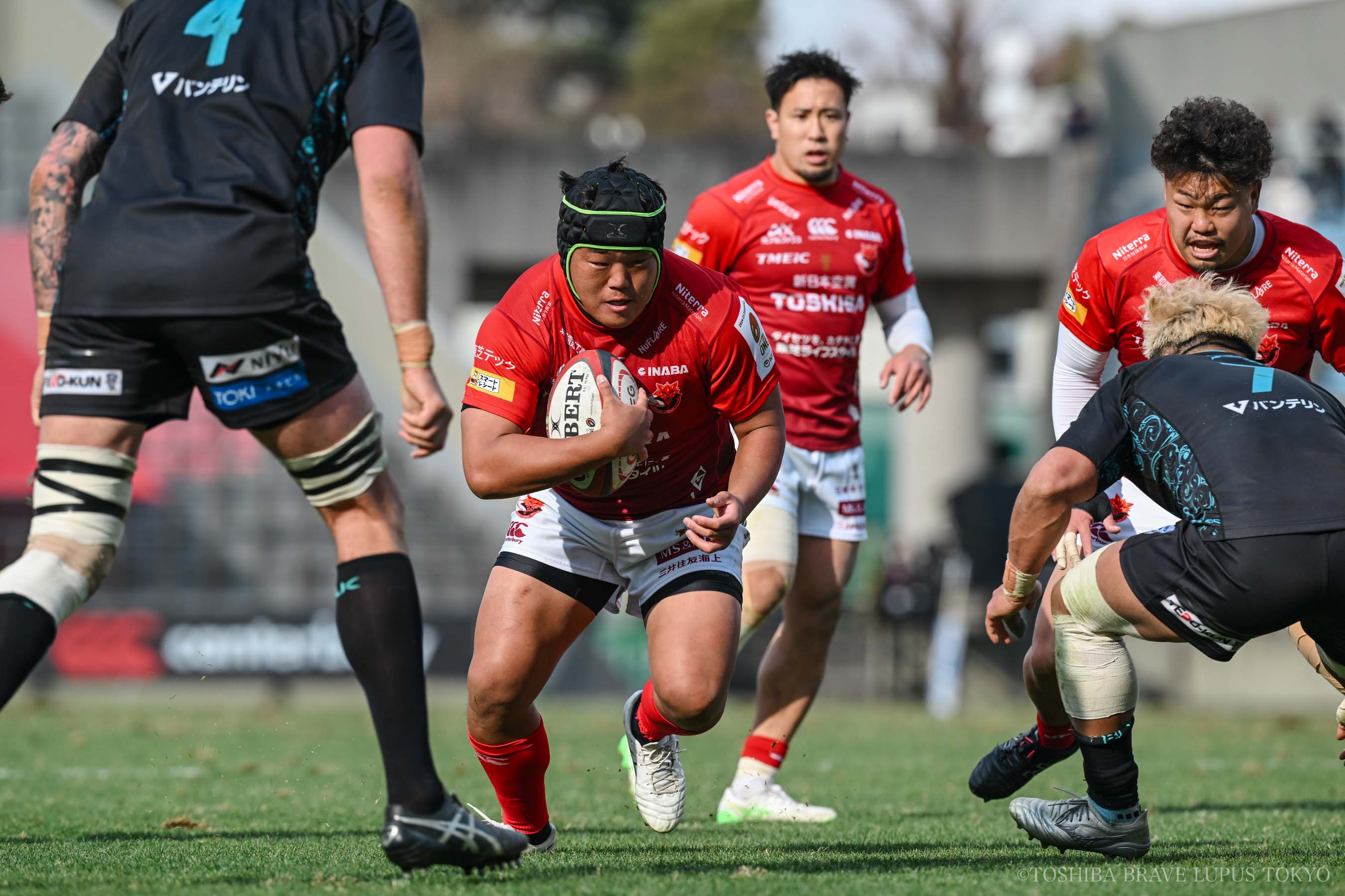 フォトギャラリー