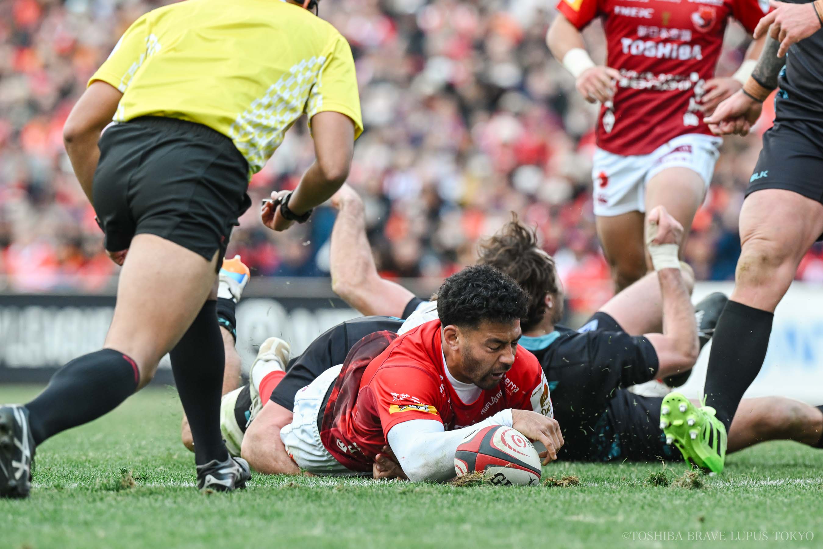 フォトギャラリー