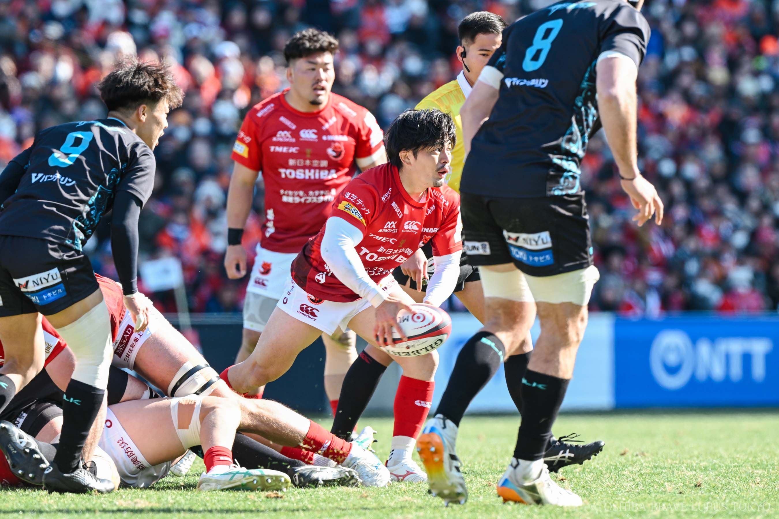 フォトギャラリー