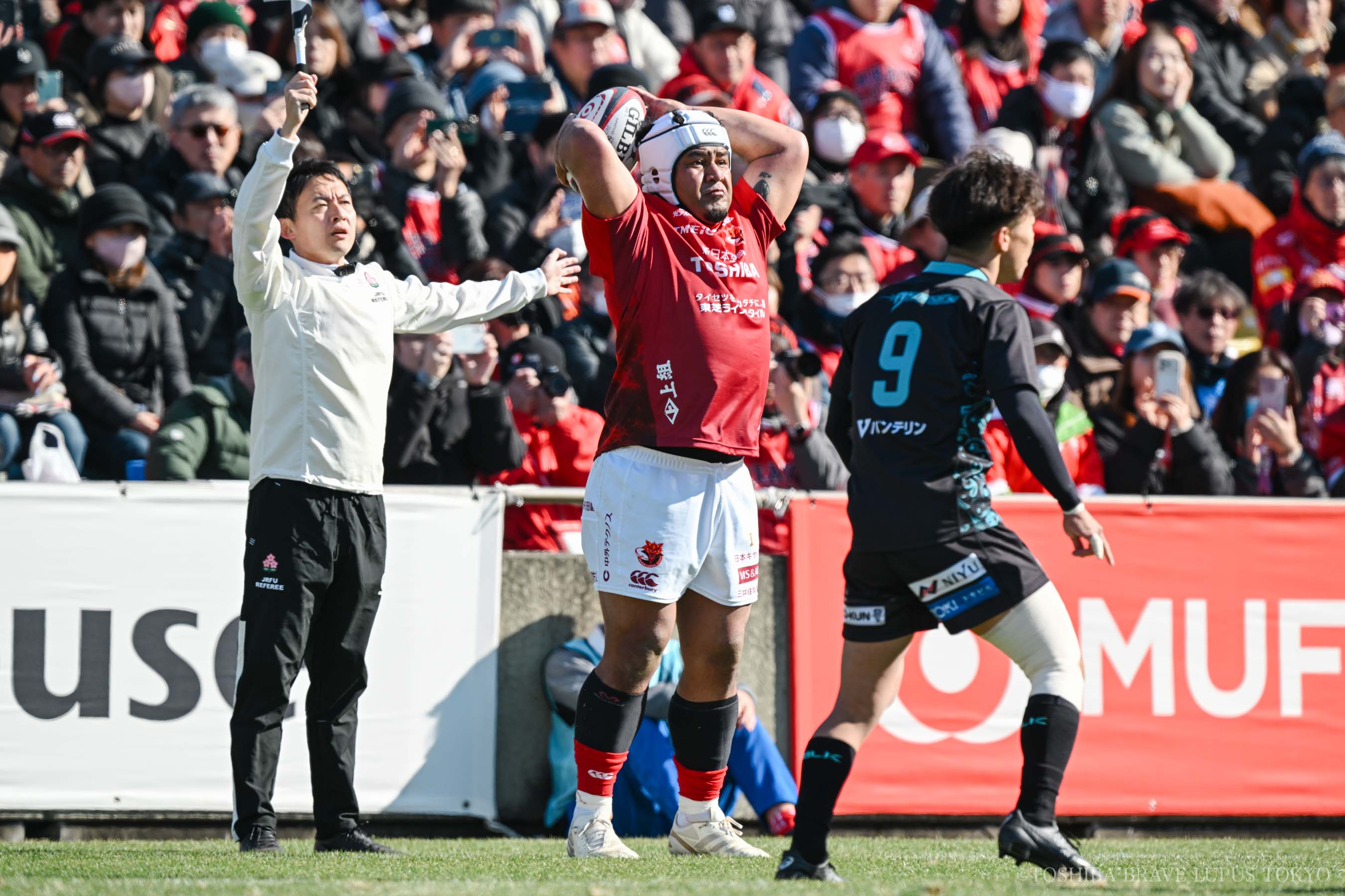 フォトギャラリー