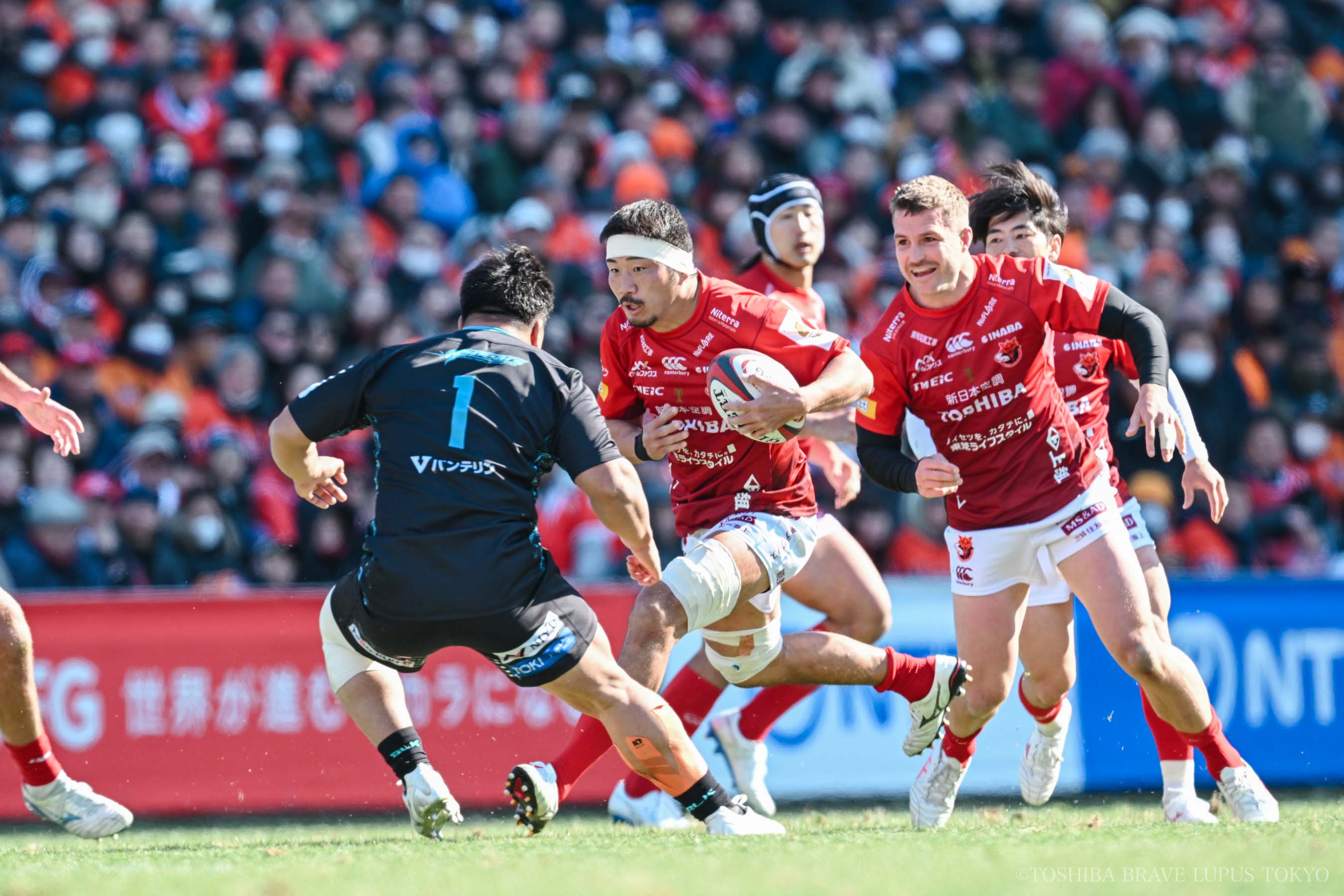 フォトギャラリー