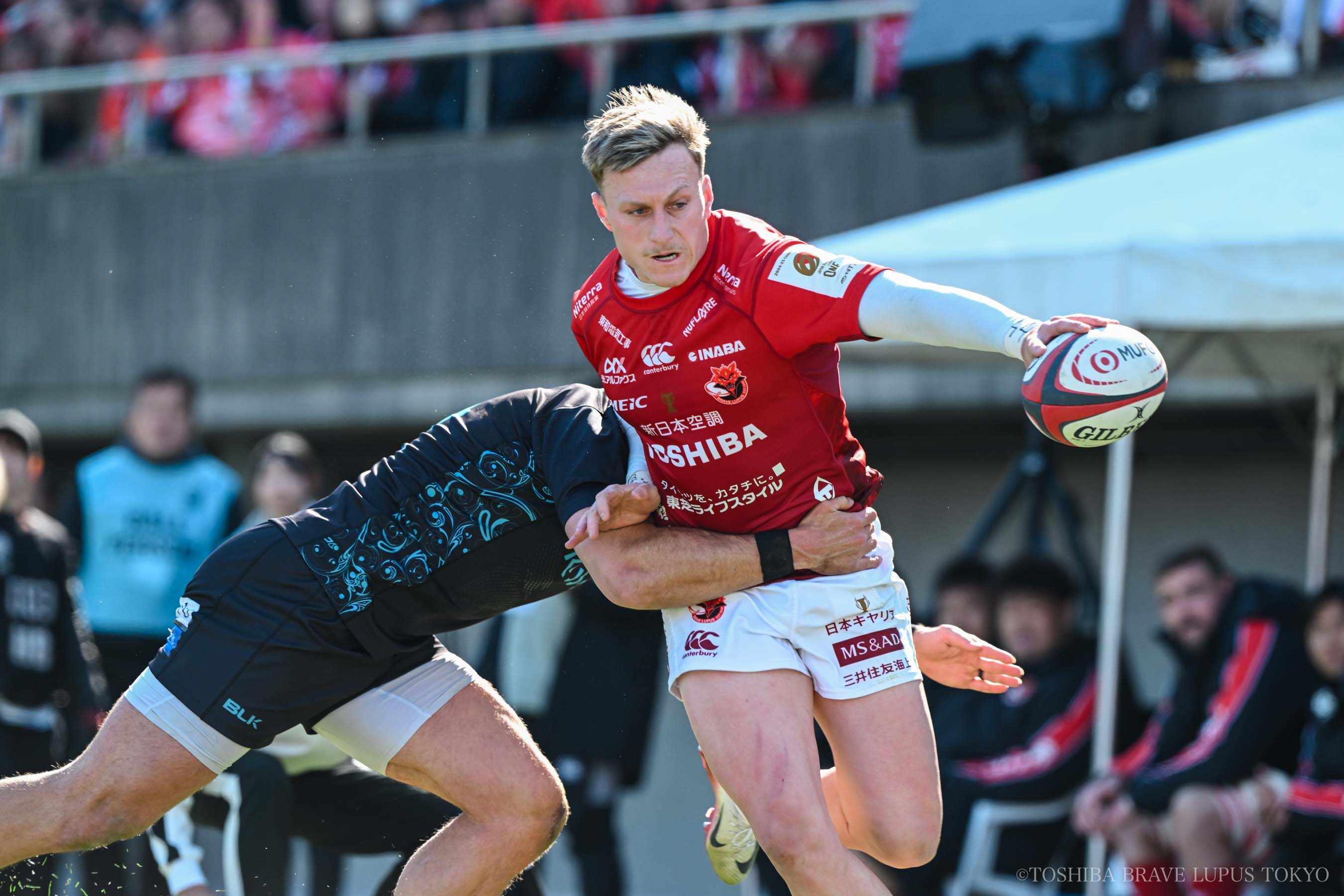 フォトギャラリー