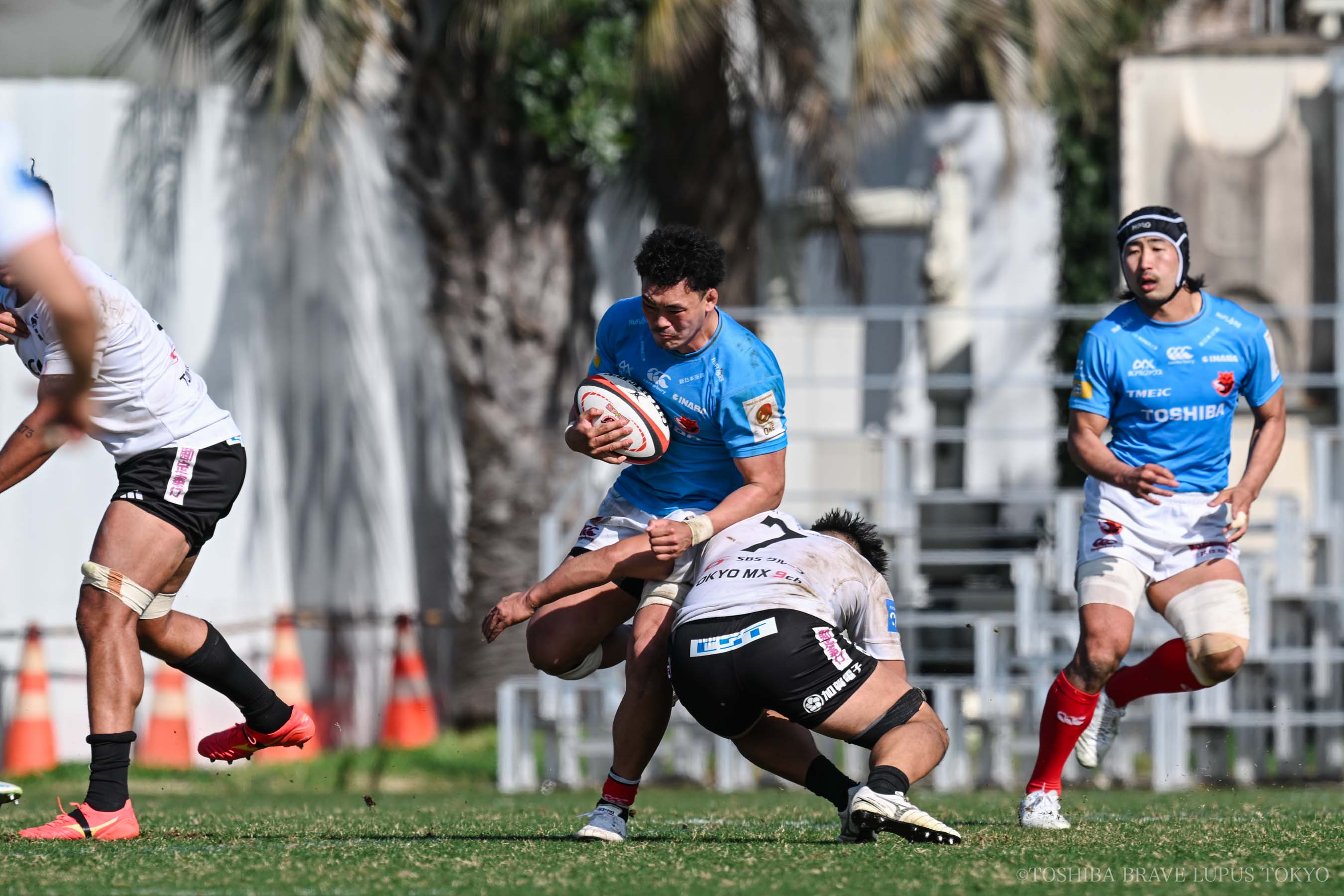 フォトギャラリー