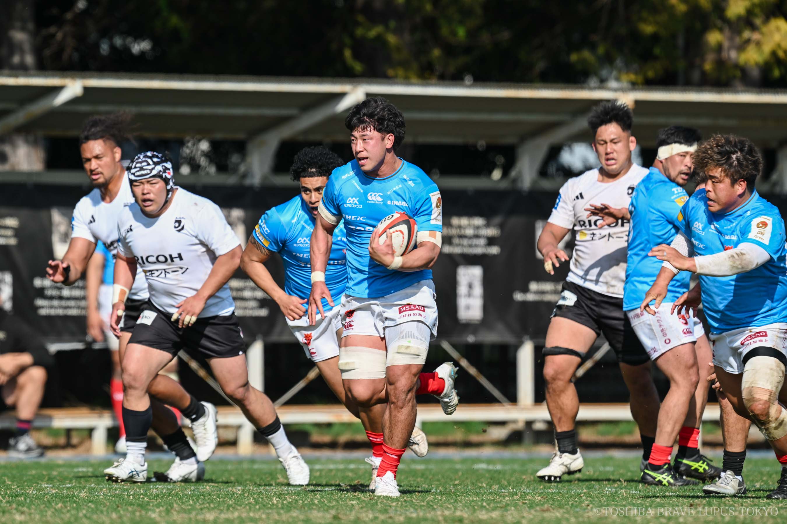 フォトギャラリー