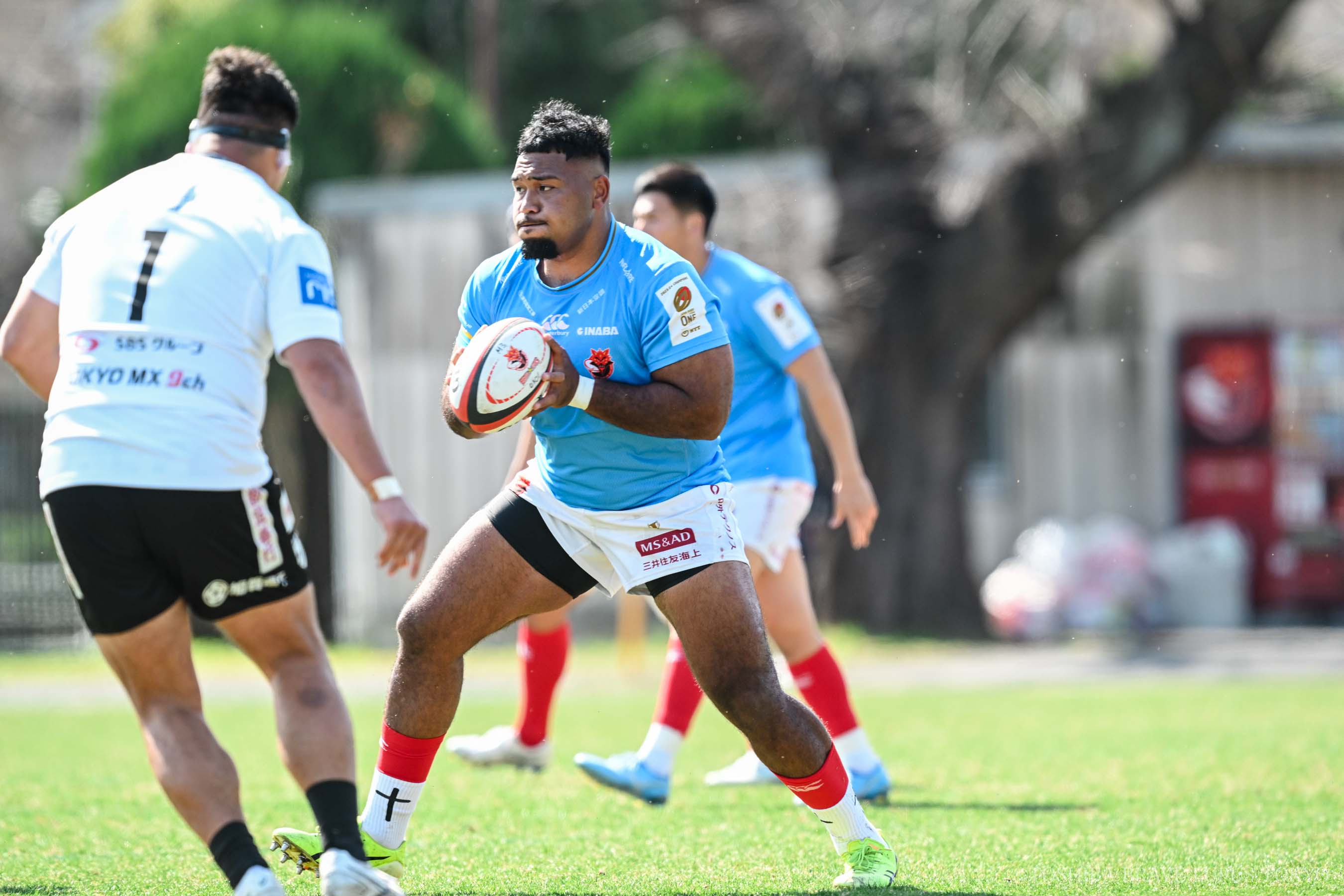 フォトギャラリー