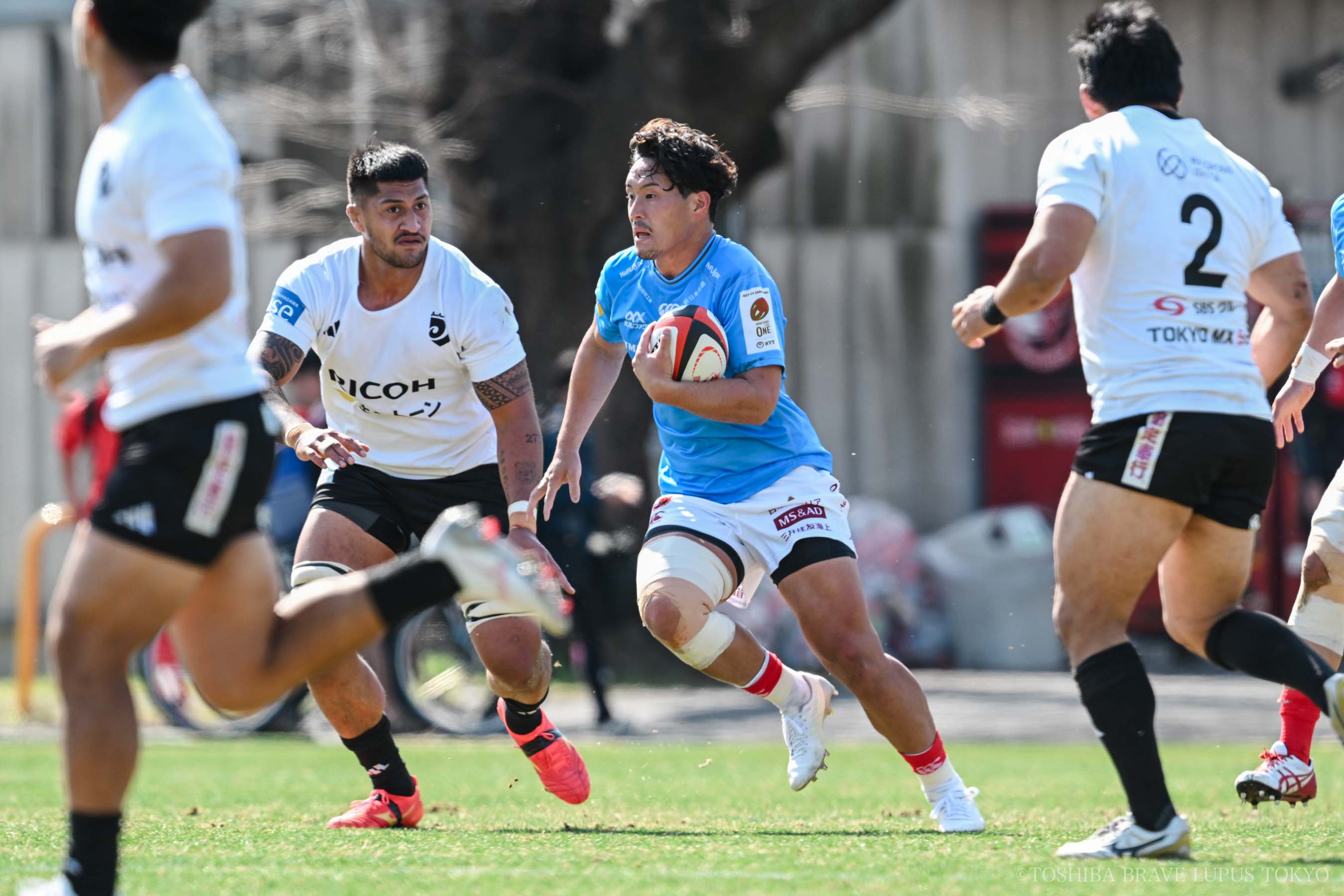 フォトギャラリー