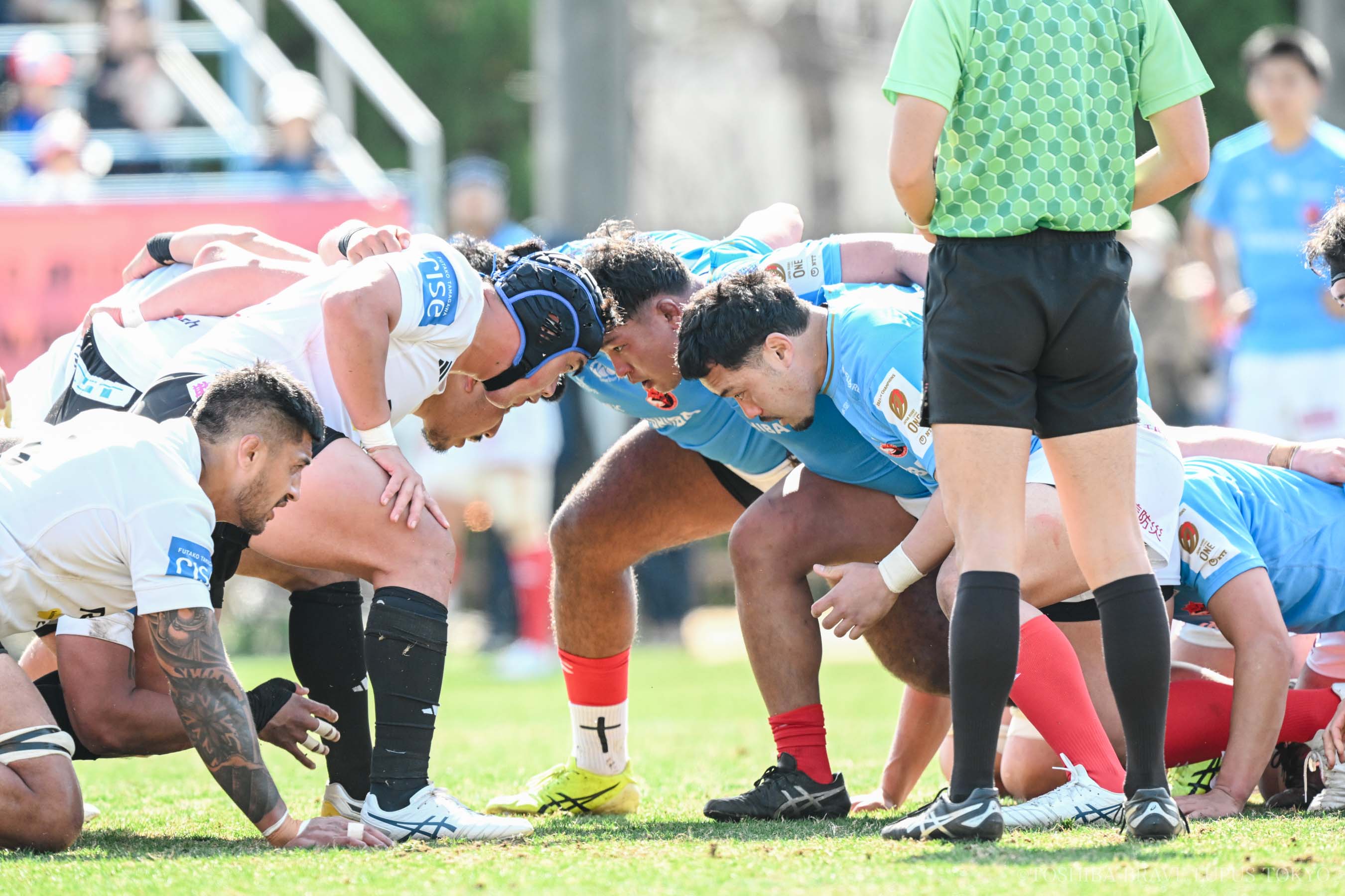 フォトギャラリー