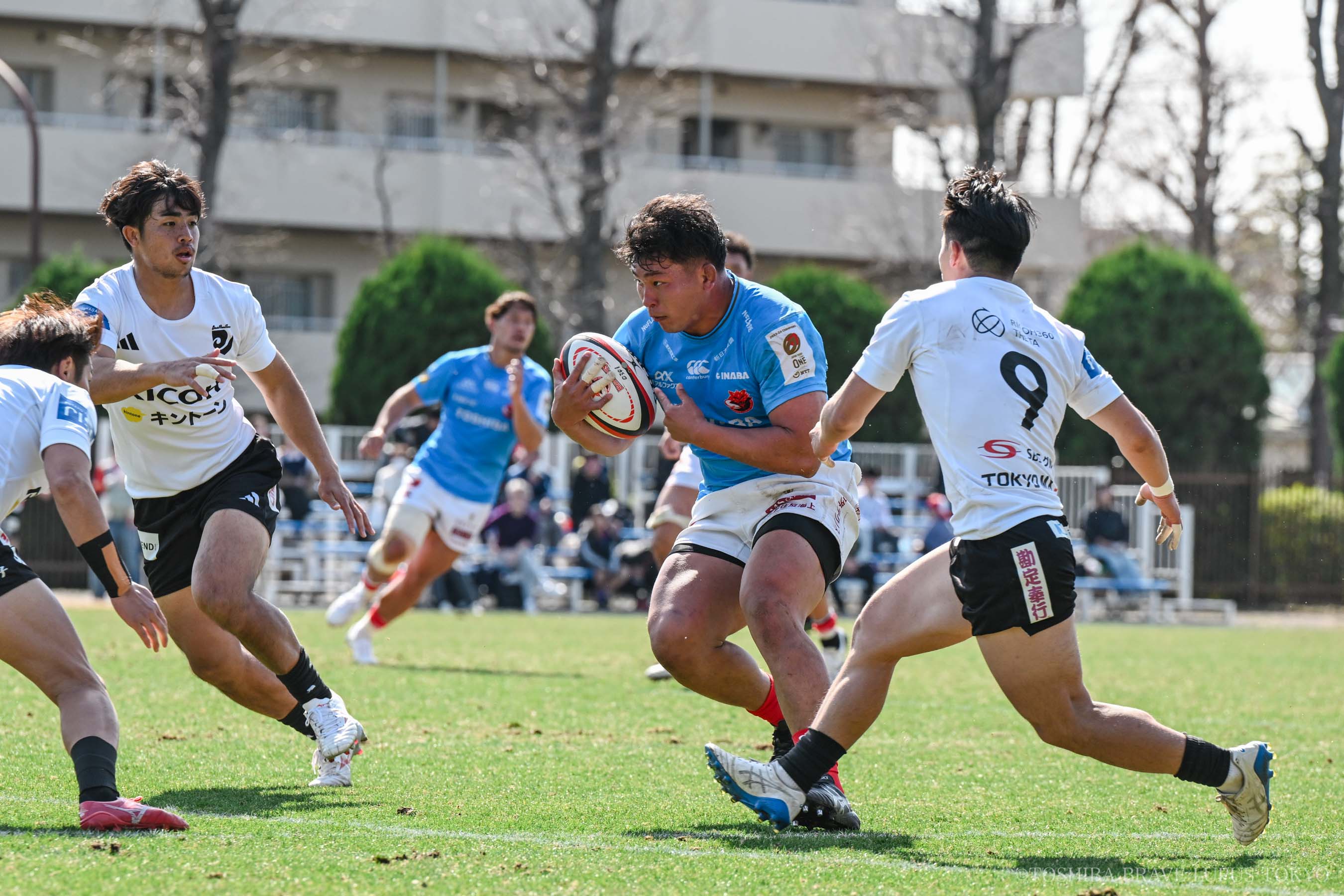 フォトギャラリー