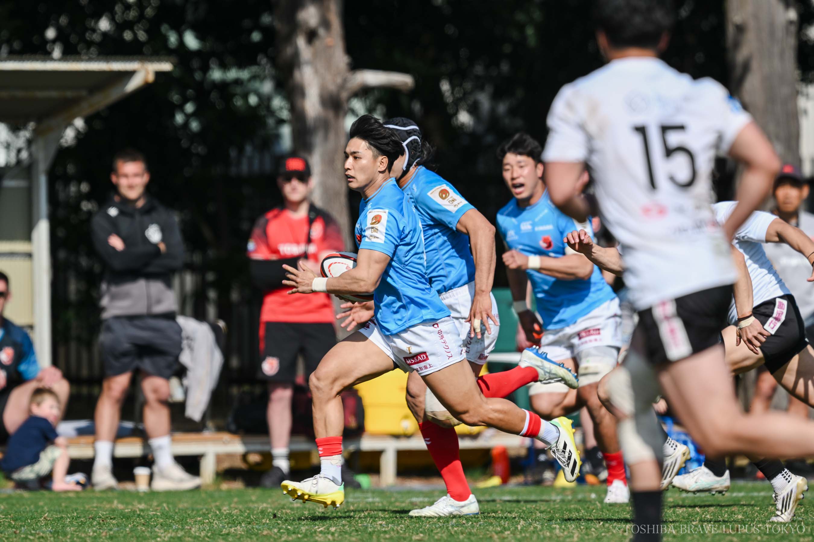 フォトギャラリー