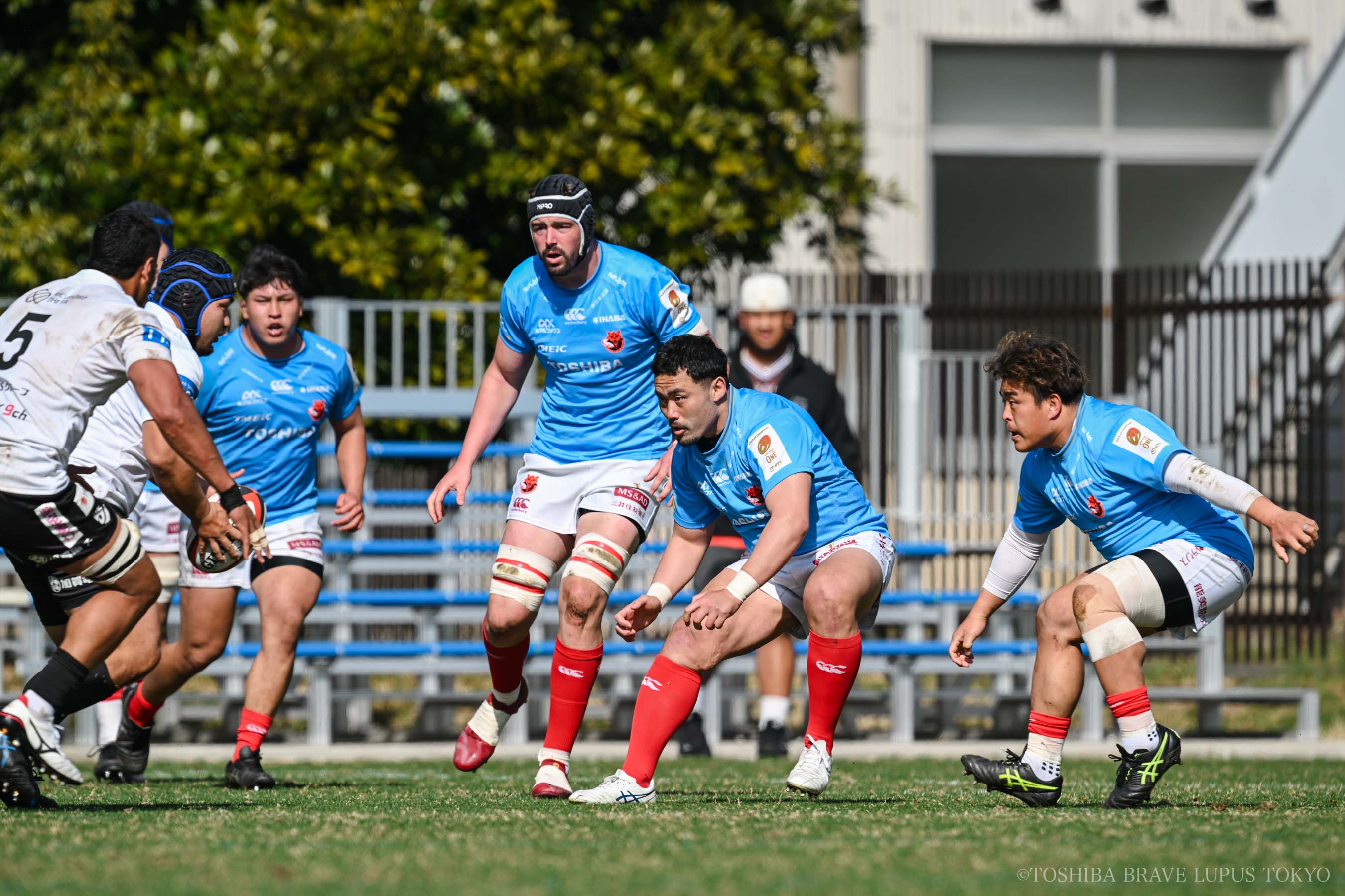 フォトギャラリー