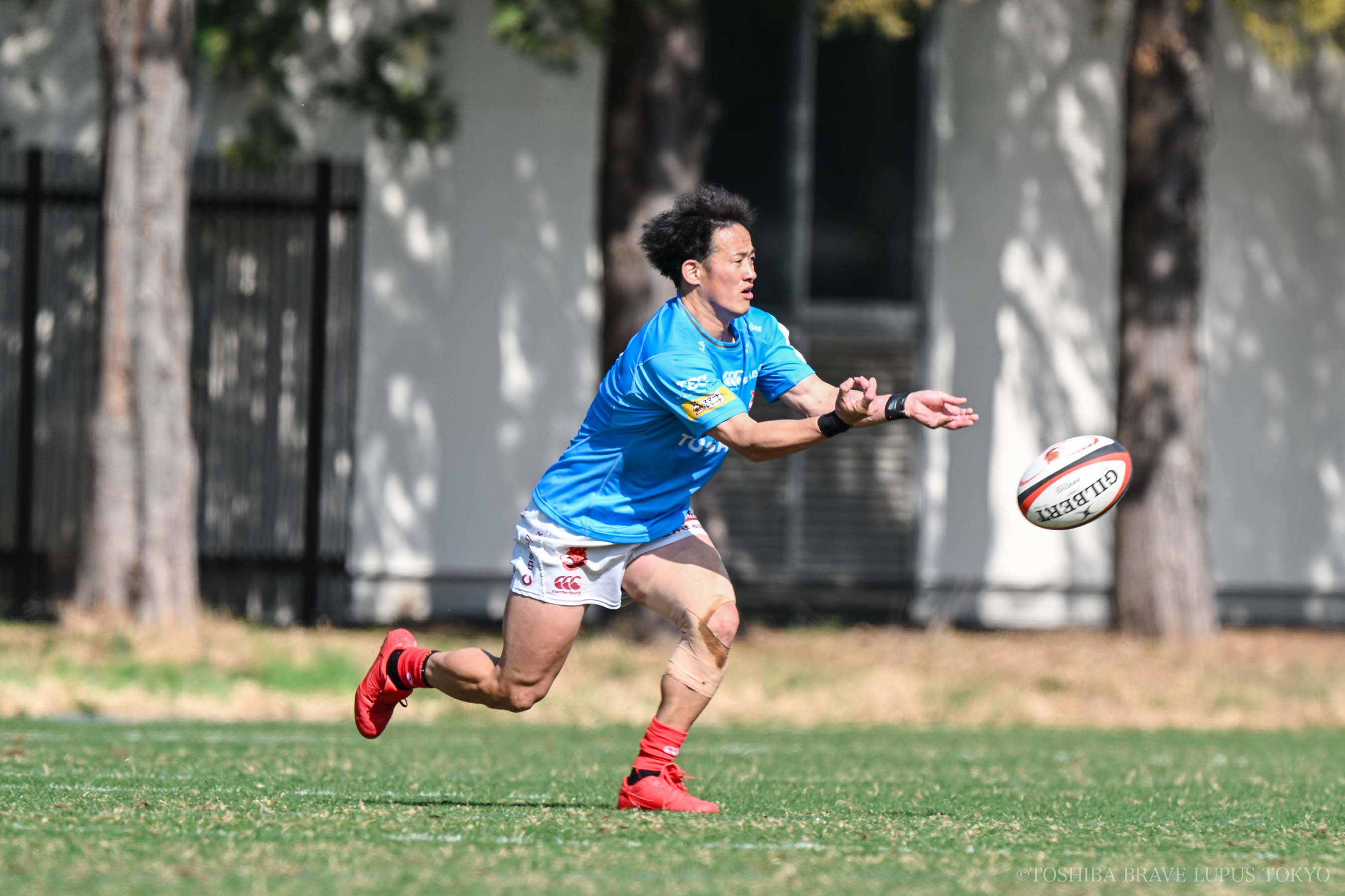 フォトギャラリー