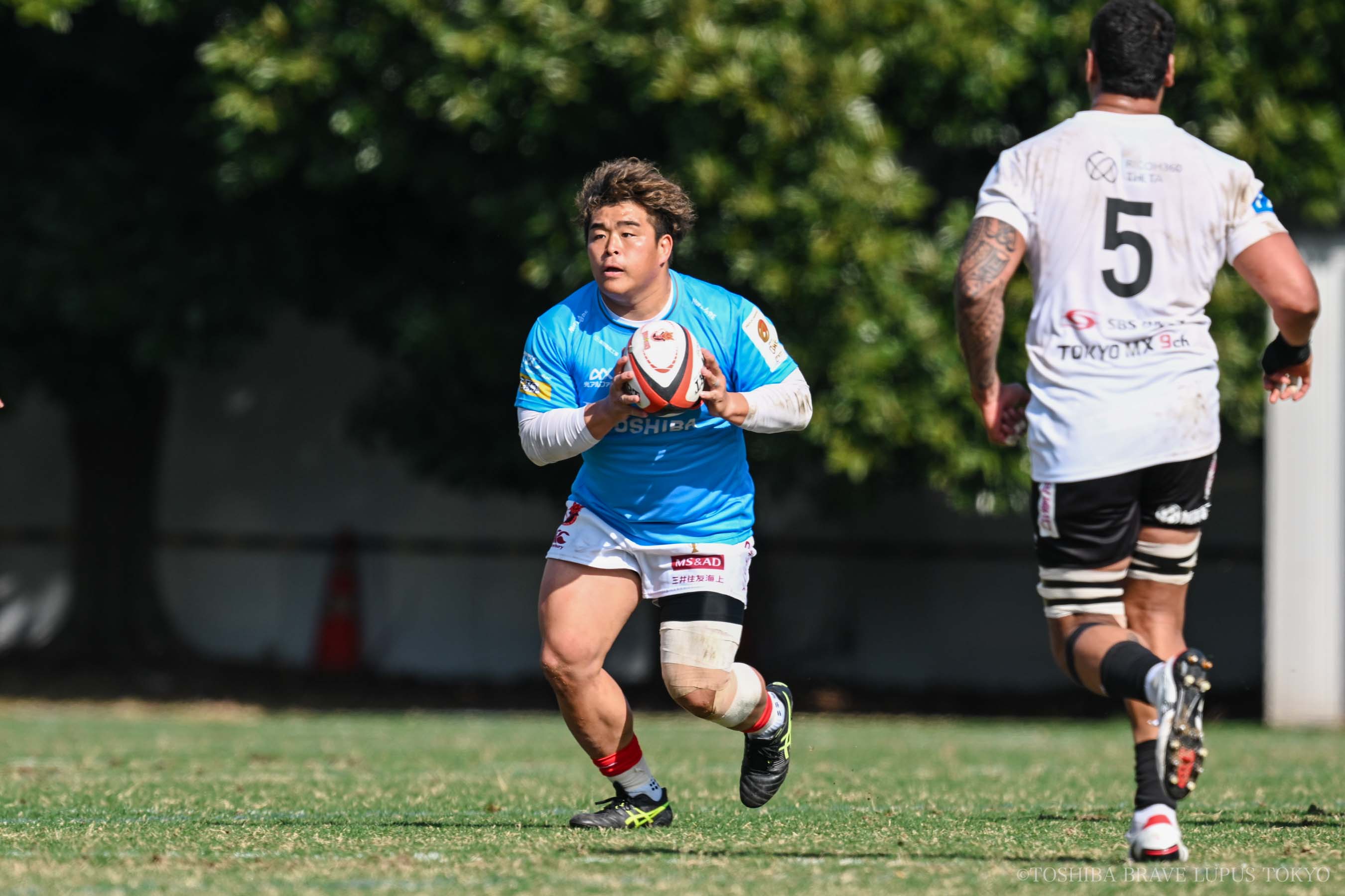 フォトギャラリー