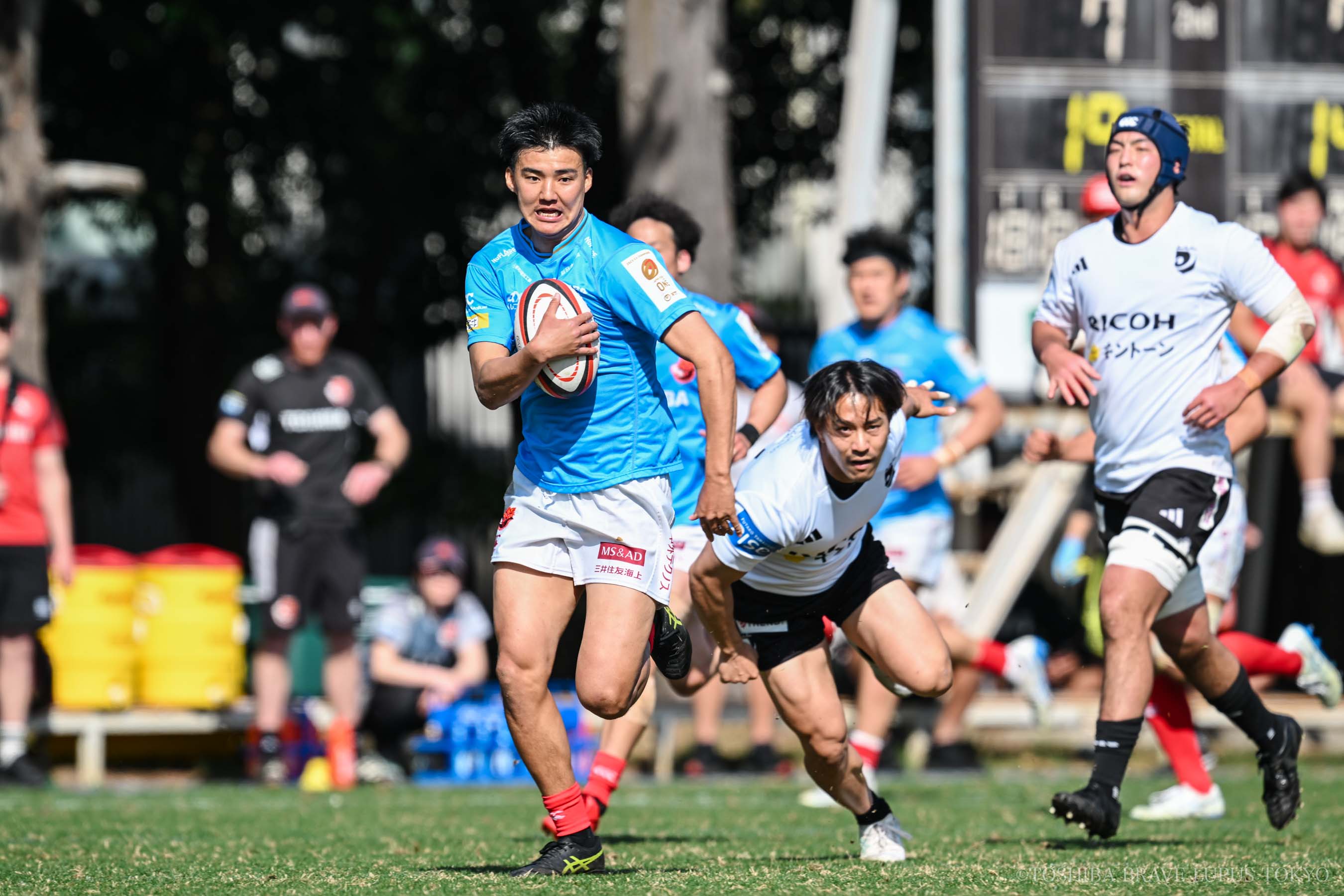 フォトギャラリー